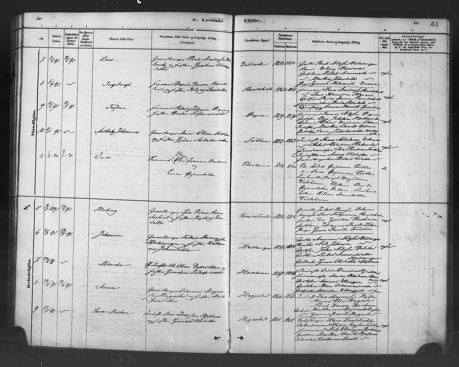 Ulvik sokneprestembete, SAB/A-78801/H/Haa: Parish register (official) no. B 1, 1878-1897, p. 61