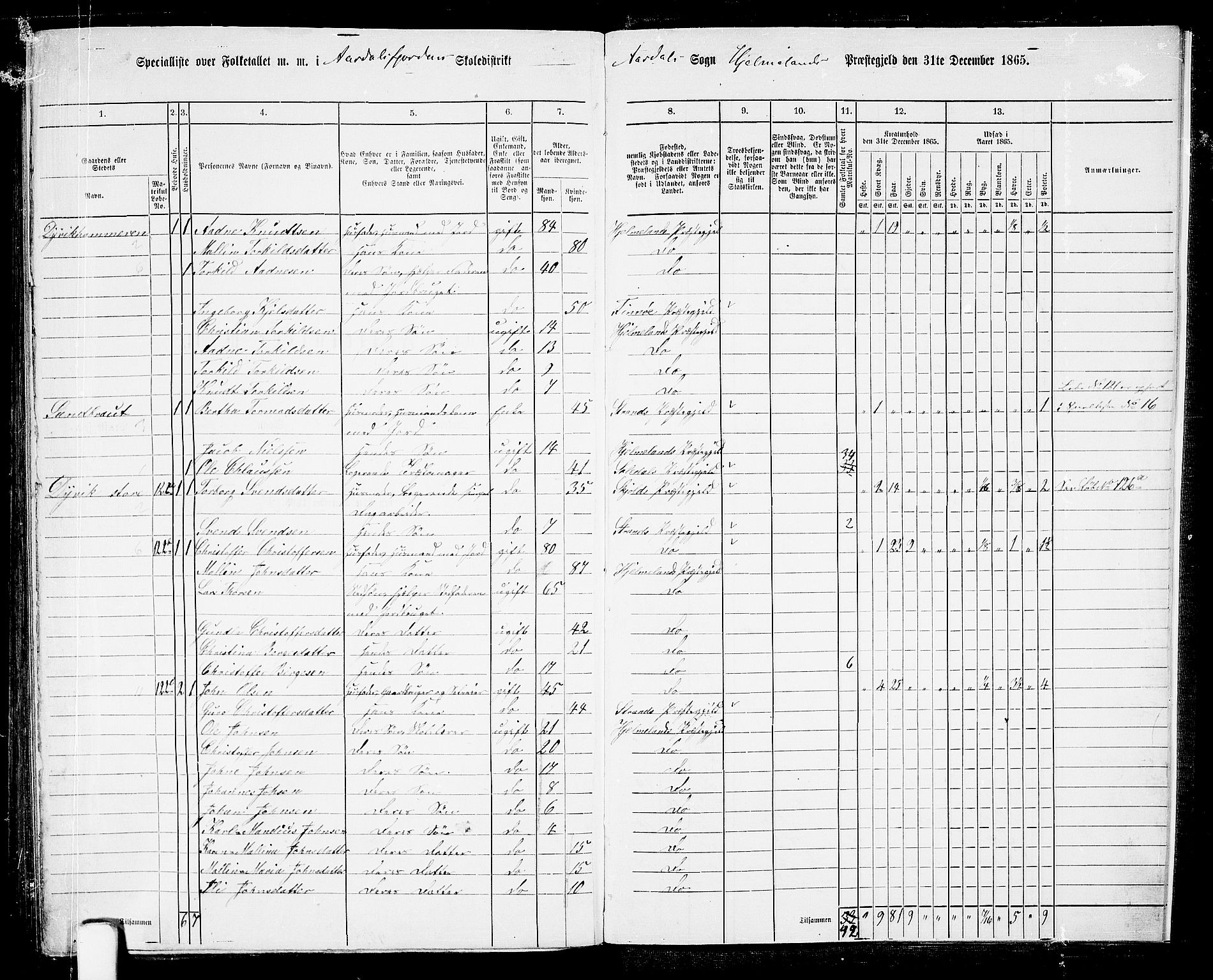 RA, 1865 census for Hjelmeland, 1865, p. 192