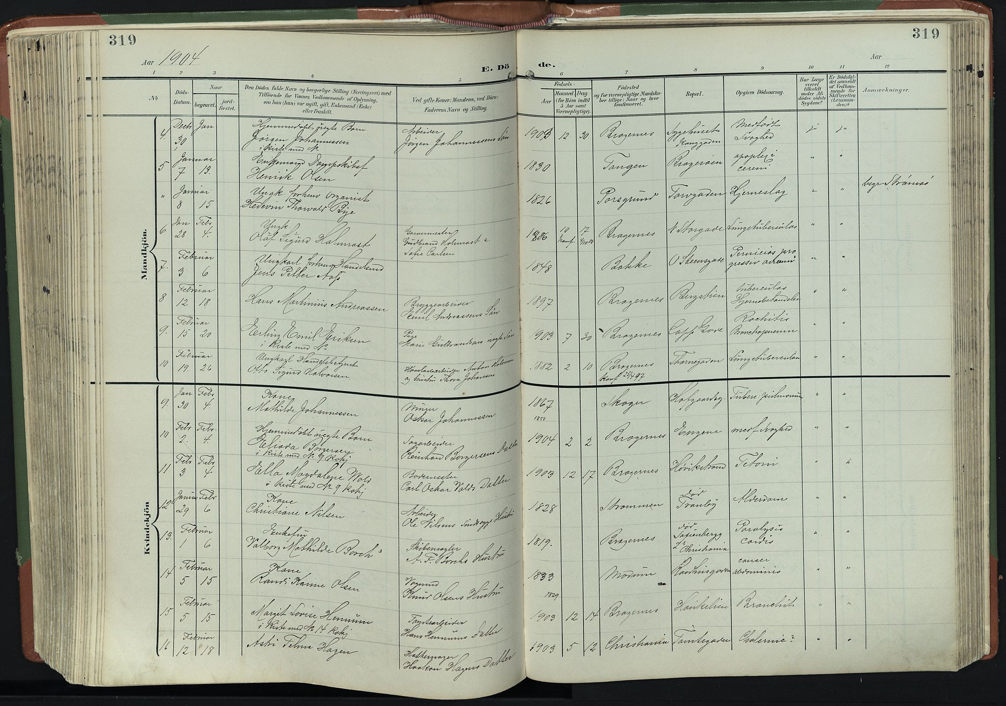 Bragernes kirkebøker, AV/SAKO-A-6/F/Fb/L0009: Parish register (official) no. II 9, 1902-1911, p. 319