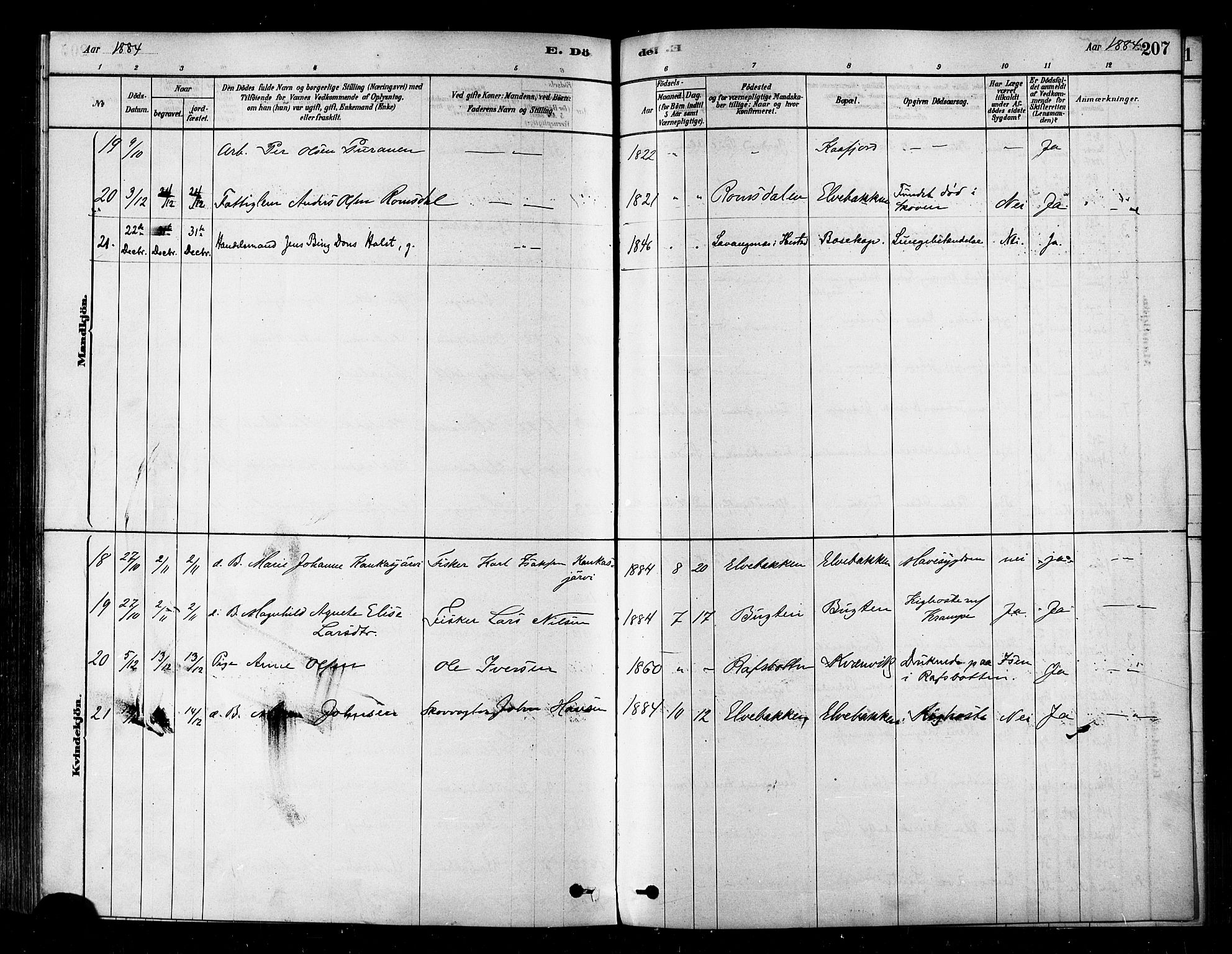 Alta sokneprestkontor, SATØ/S-1338/H/Ha/L0002.kirke: Parish register (official) no. 2, 1879-1892, p. 207