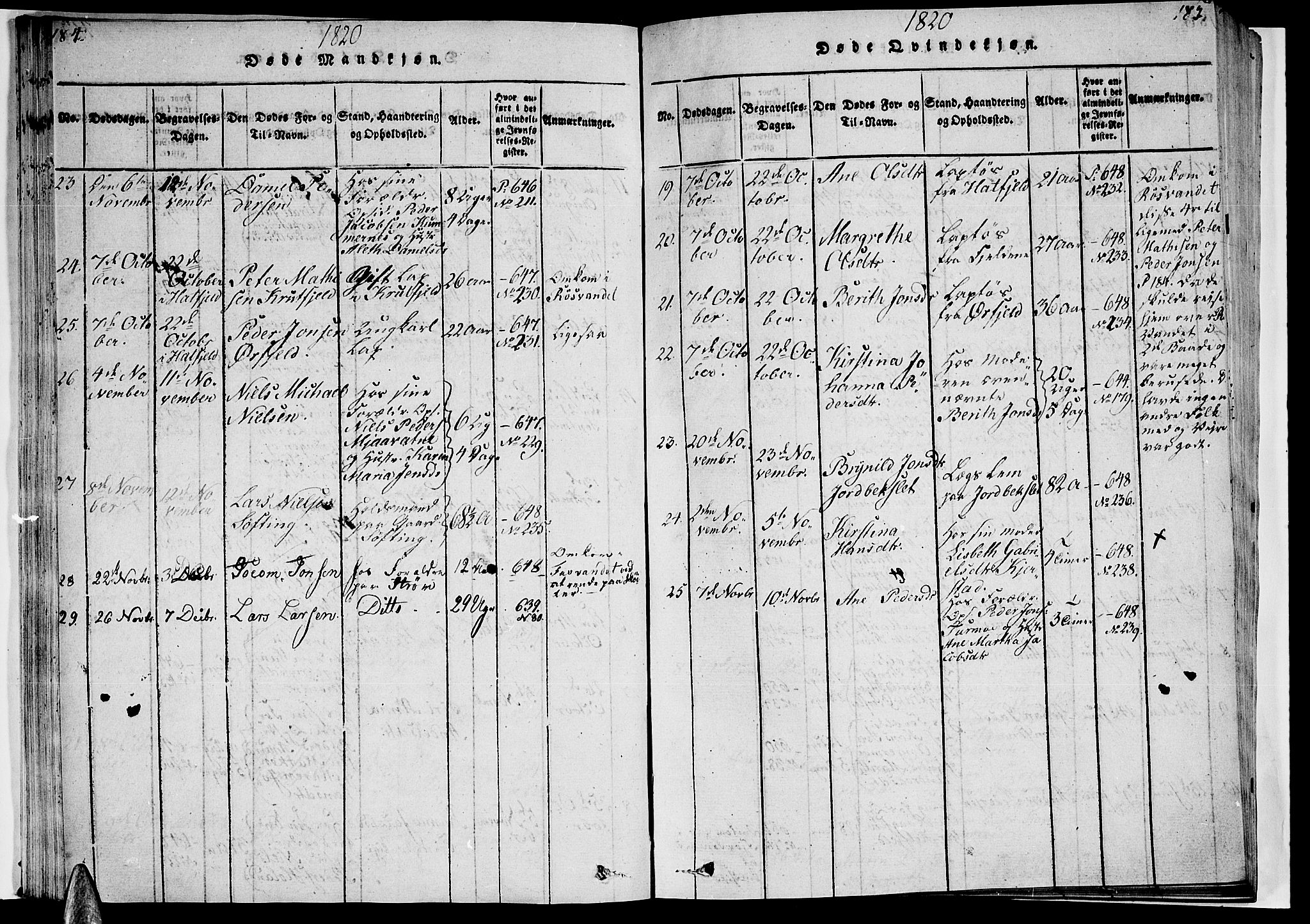 Ministerialprotokoller, klokkerbøker og fødselsregistre - Nordland, AV/SAT-A-1459/820/L0288: Parish register (official) no. 820A09, 1820-1825, p. 184-185