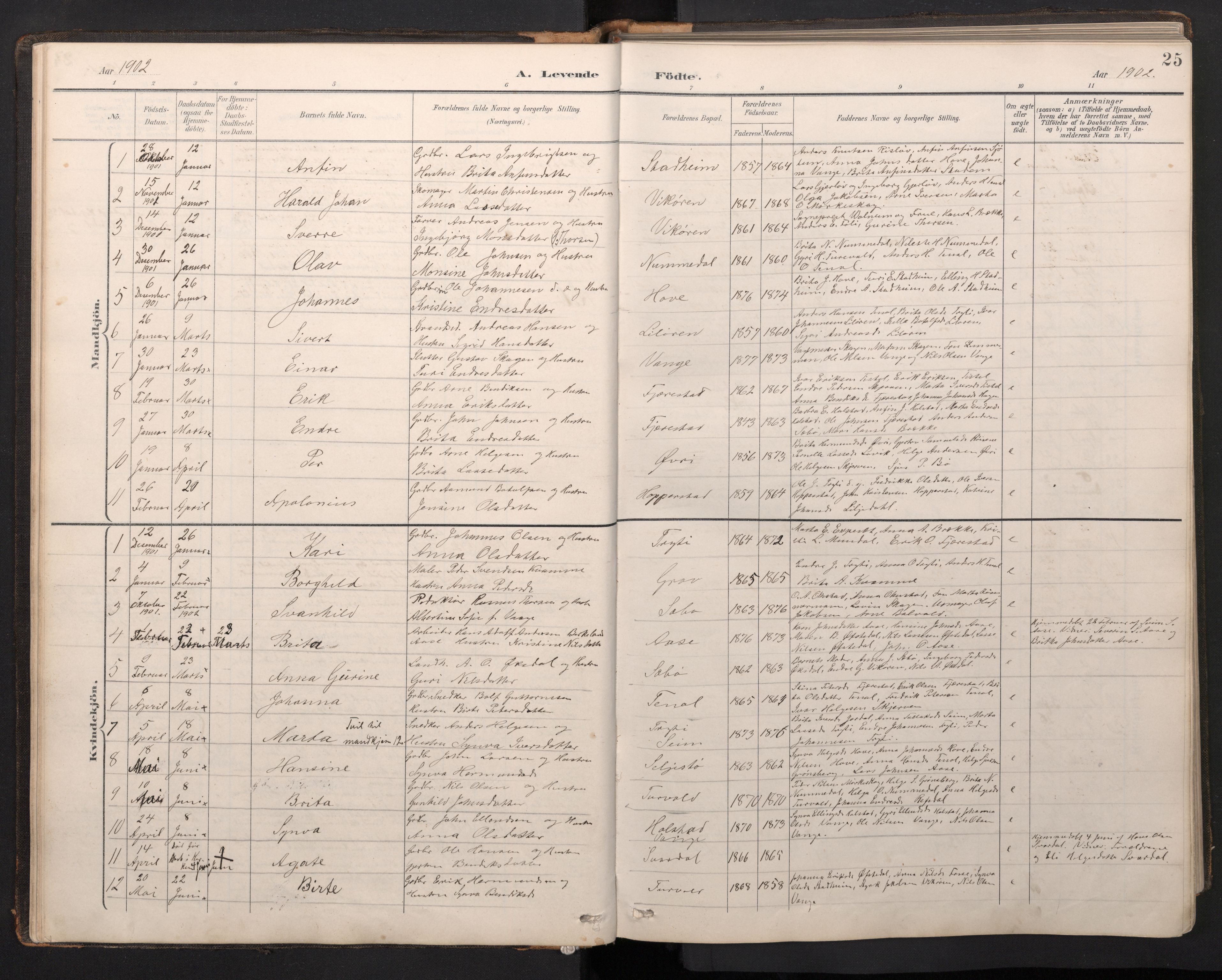 Vik sokneprestembete, AV/SAB-A-81501/H/Hab/Haba/L0004: Parish register (copy) no. A 4, 1895-1914, p. 24b-25a