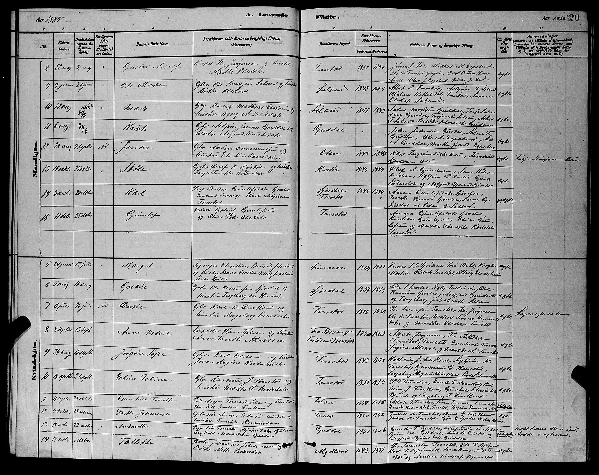 Sirdal sokneprestkontor, AV/SAK-1111-0036/F/Fb/Fbb/L0003: Parish register (copy) no. B 3, 1878-1894, p. 20