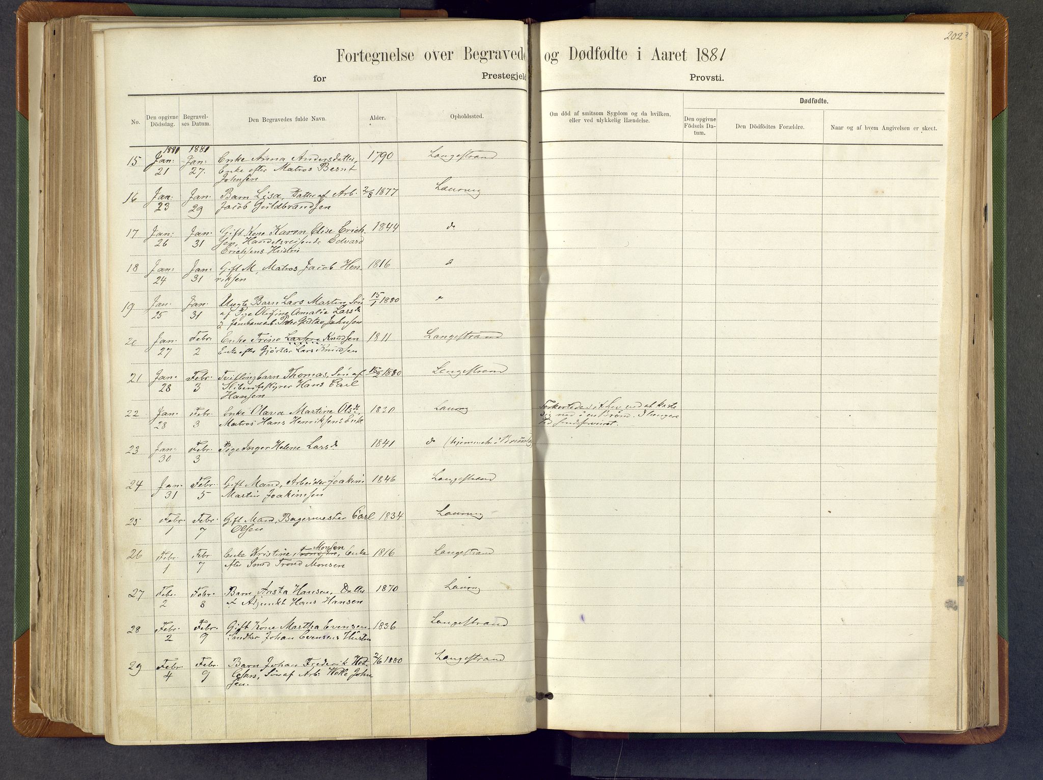 Larvik kirkebøker, AV/SAKO-A-352/F/Fa/L0007: Parish register (official) no. I 7, 1871-1883, p. 202