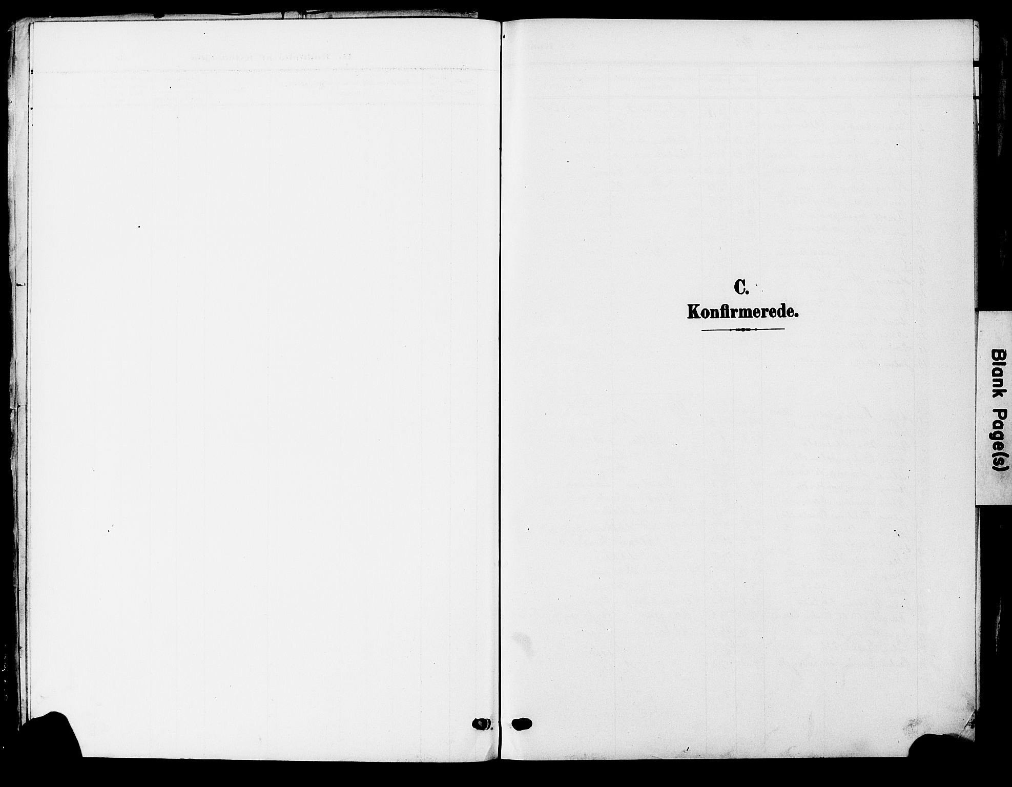Ministerialprotokoller, klokkerbøker og fødselsregistre - Nordland, SAT/A-1459/830/L0464: Parish register (copy) no. 830C06, 1906-1925