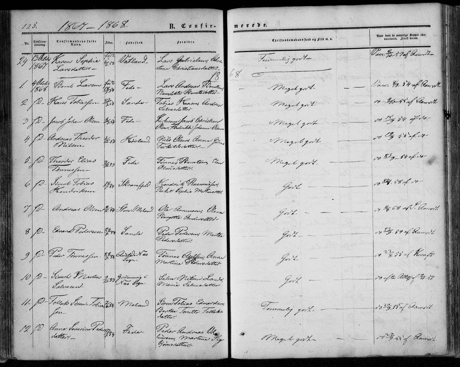 Kvinesdal sokneprestkontor, AV/SAK-1111-0026/F/Fa/Faa/L0002: Parish register (official) no. A 2, 1850-1876, p. 125