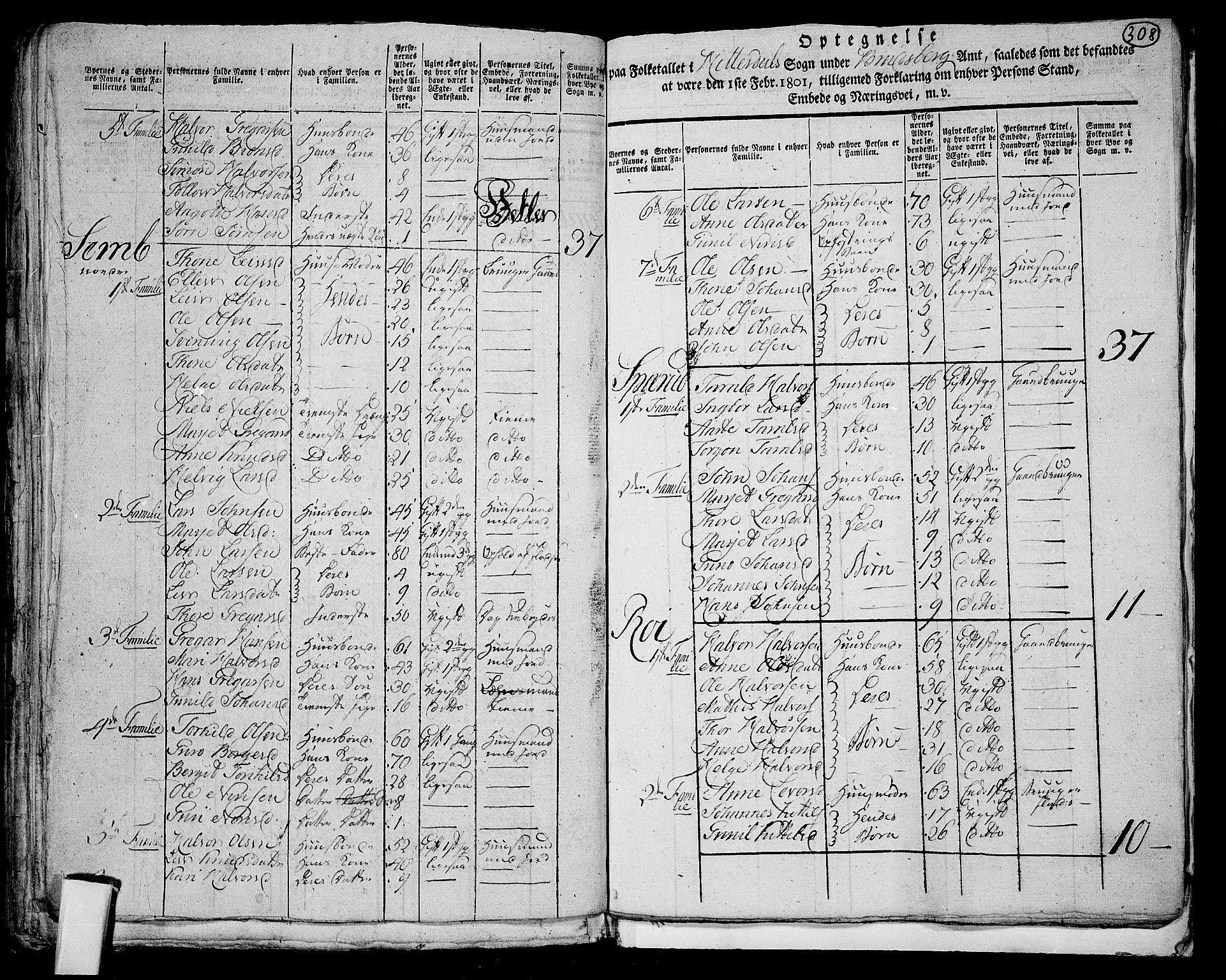 RA, 1801 census for 0823P Heddal, 1801, p. 307b-308a