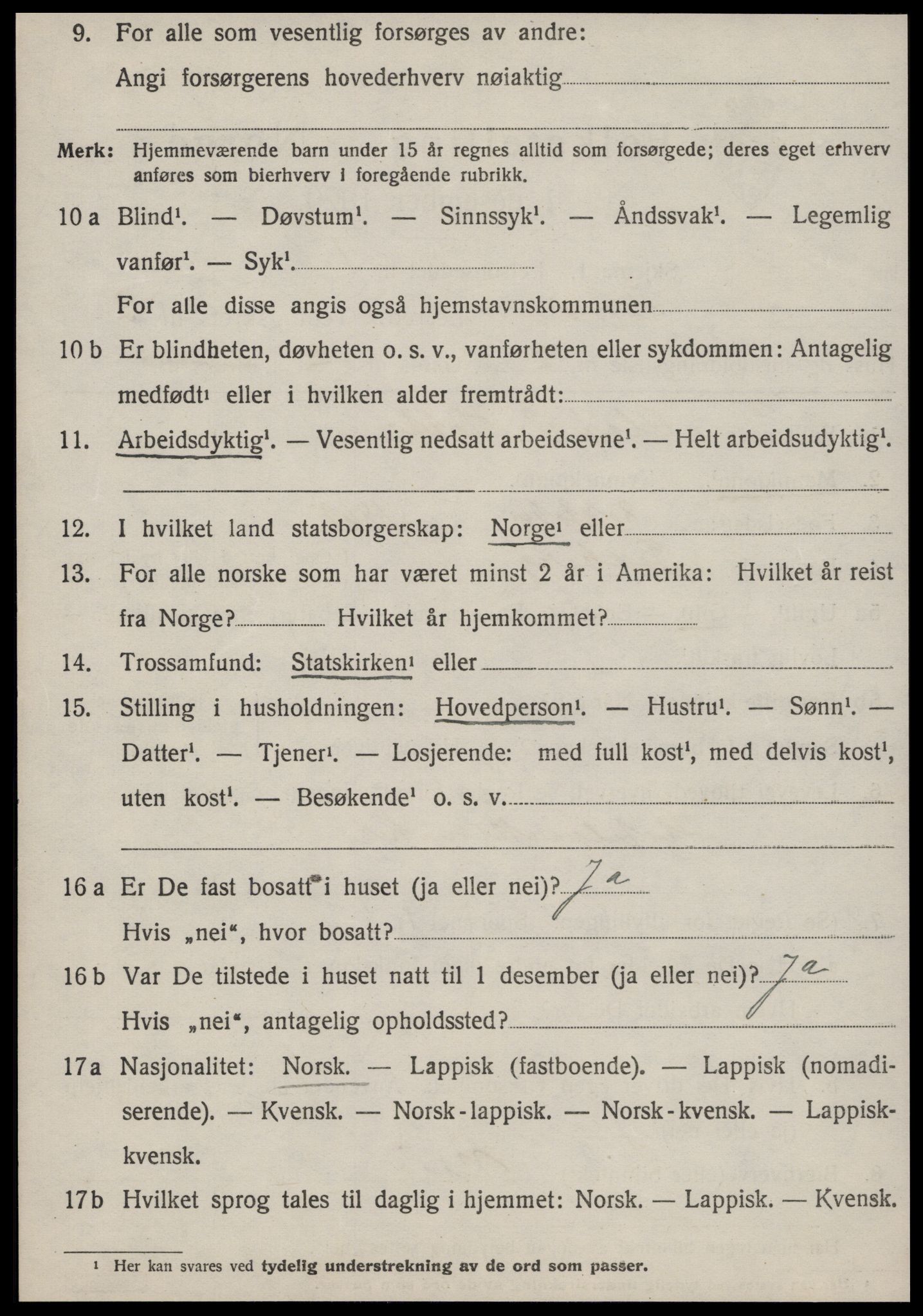 SAT, 1920 census for Røros, 1920, p. 3913