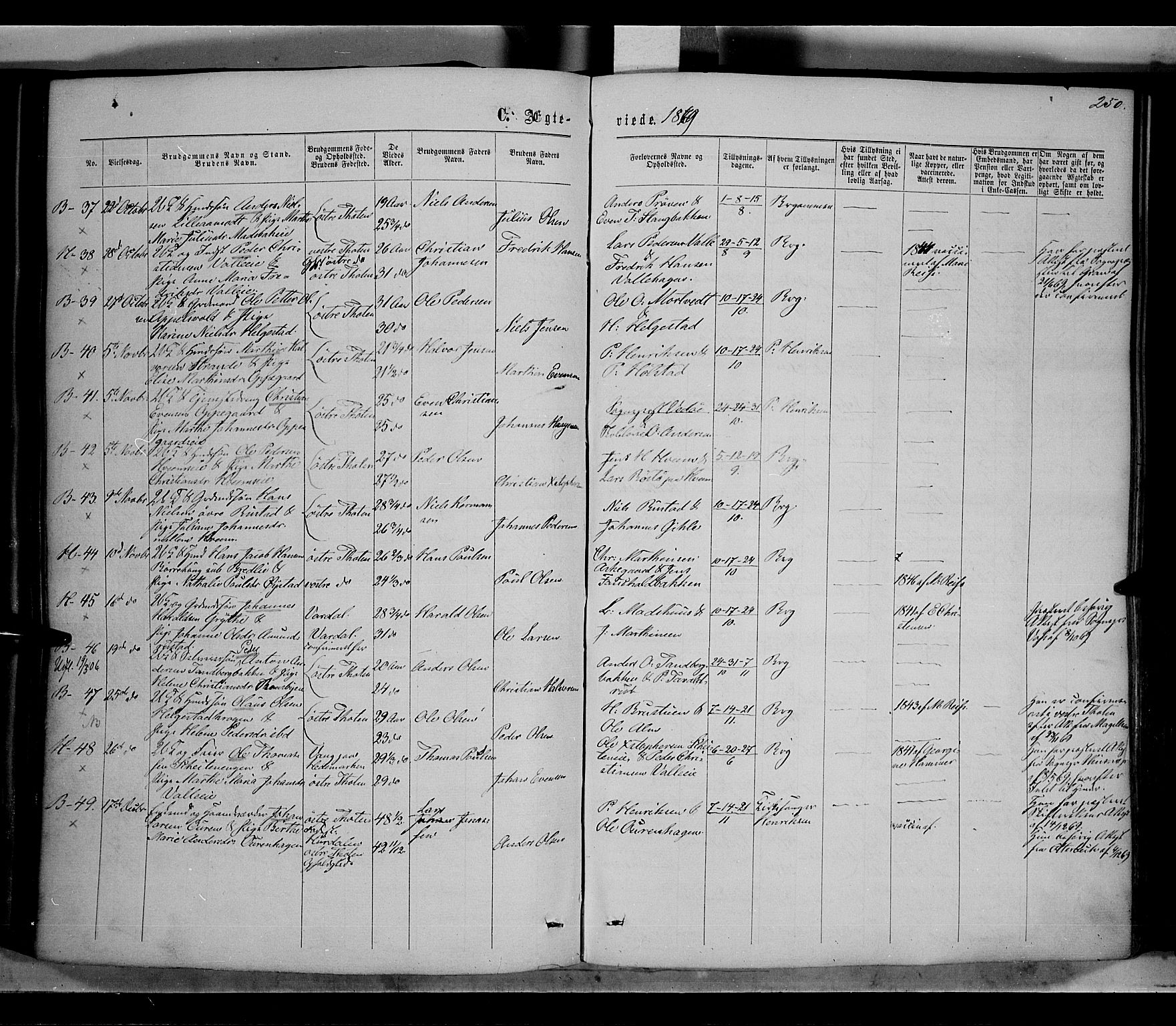 Østre Toten prestekontor, AV/SAH-PREST-104/H/Ha/Haa/L0005: Parish register (official) no. 5, 1866-1877, p. 250