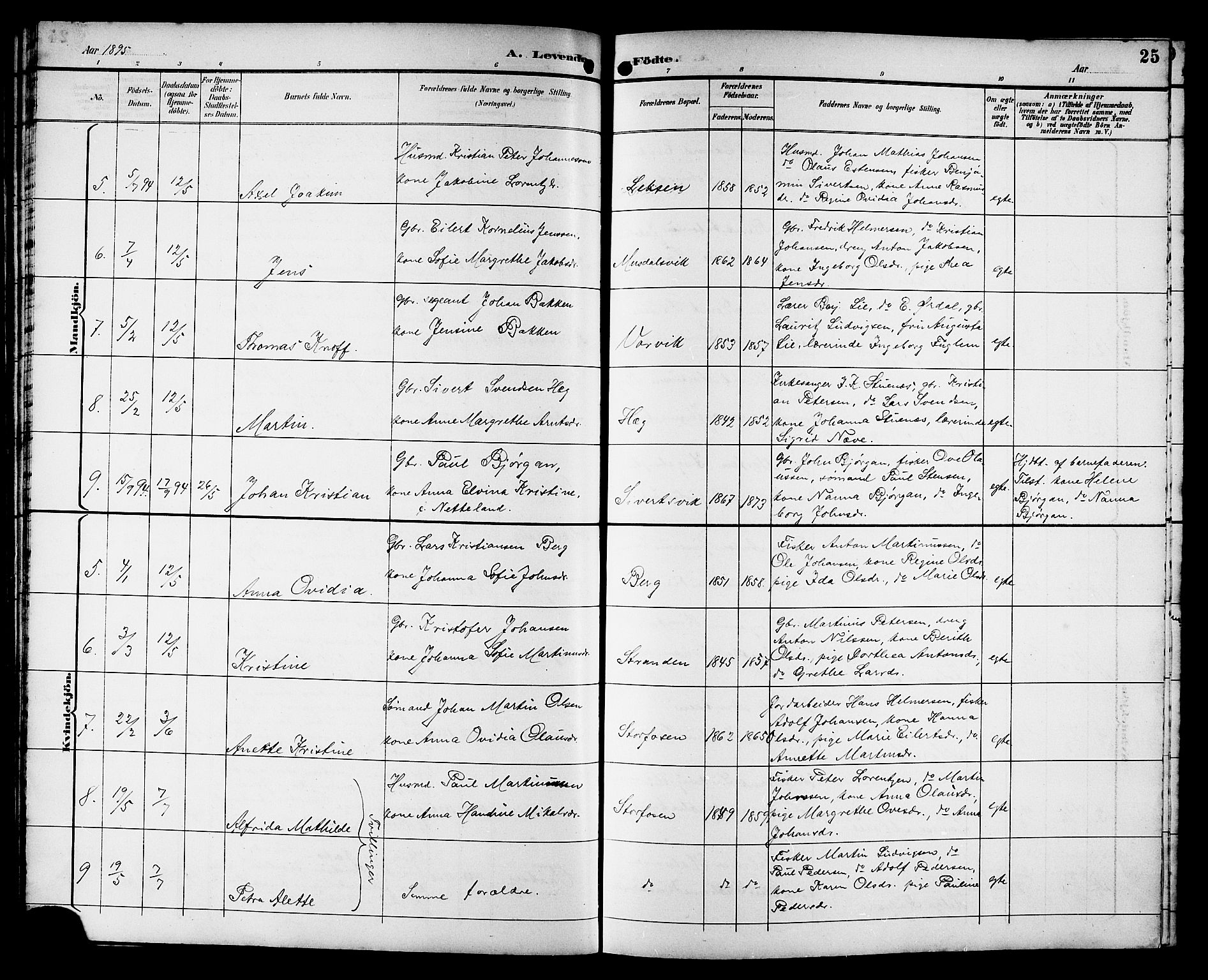 Ministerialprotokoller, klokkerbøker og fødselsregistre - Sør-Trøndelag, SAT/A-1456/662/L0757: Parish register (copy) no. 662C02, 1892-1918, p. 25