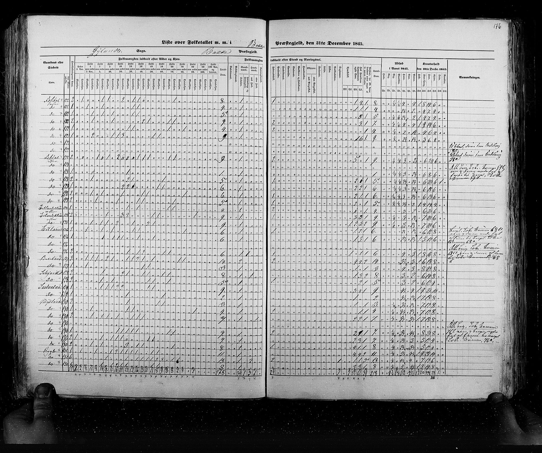 RA, Census 1845, vol. 6: Lister og Mandal amt og Stavanger amt, 1845, p. 176