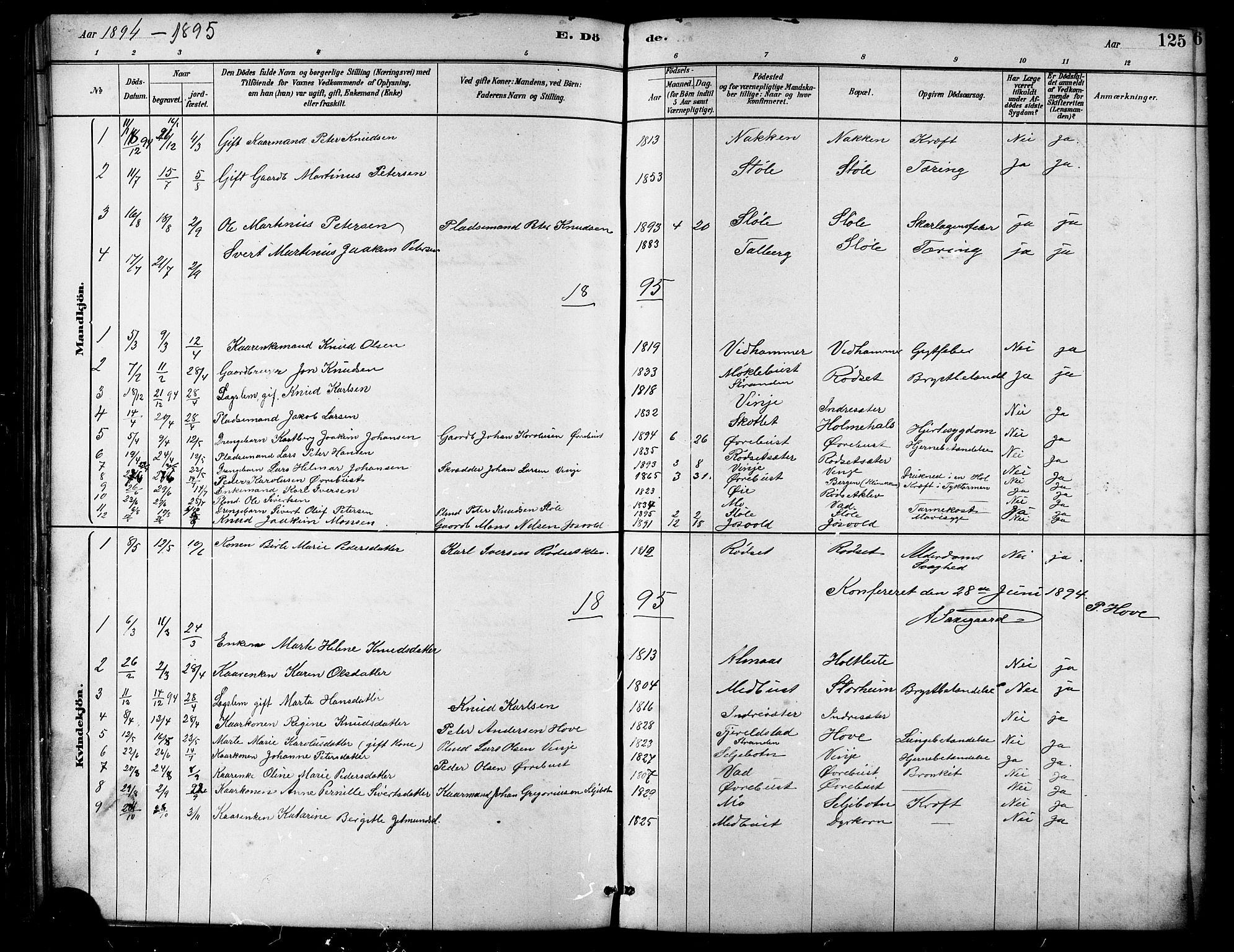 Ministerialprotokoller, klokkerbøker og fødselsregistre - Møre og Romsdal, SAT/A-1454/521/L0302: Parish register (copy) no. 521C03, 1882-1907, p. 125