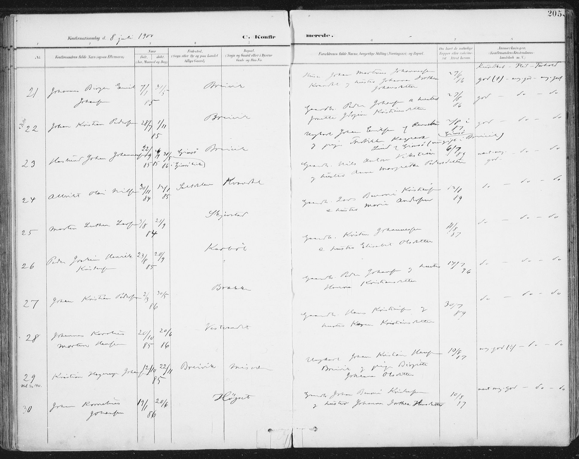 Ministerialprotokoller, klokkerbøker og fødselsregistre - Nordland, AV/SAT-A-1459/852/L0741: Parish register (official) no. 852A11, 1894-1917, p. 205