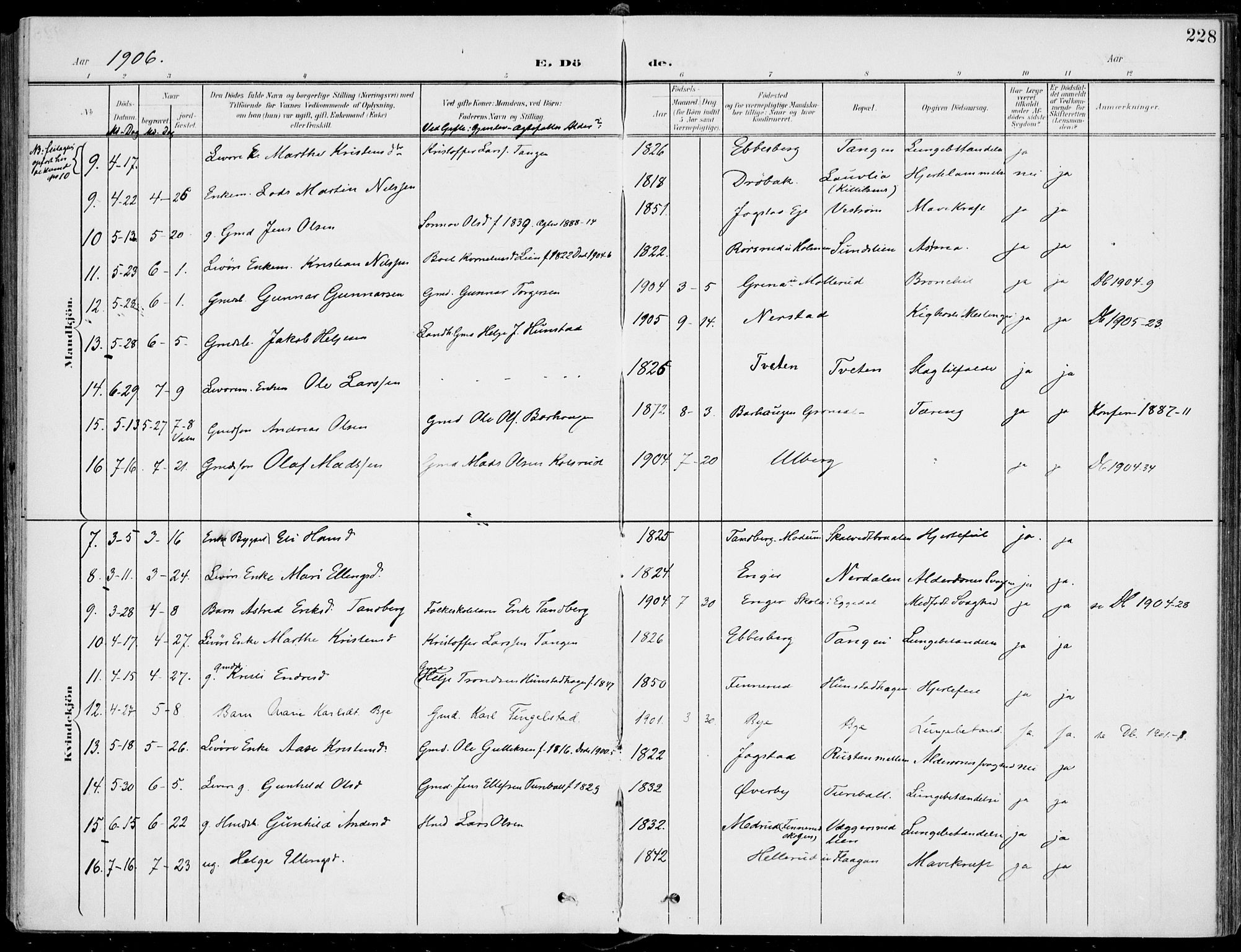 Sigdal kirkebøker, AV/SAKO-A-245/F/Fb/L0002: Parish register (official) no. II 2, 1901-1914, p. 228