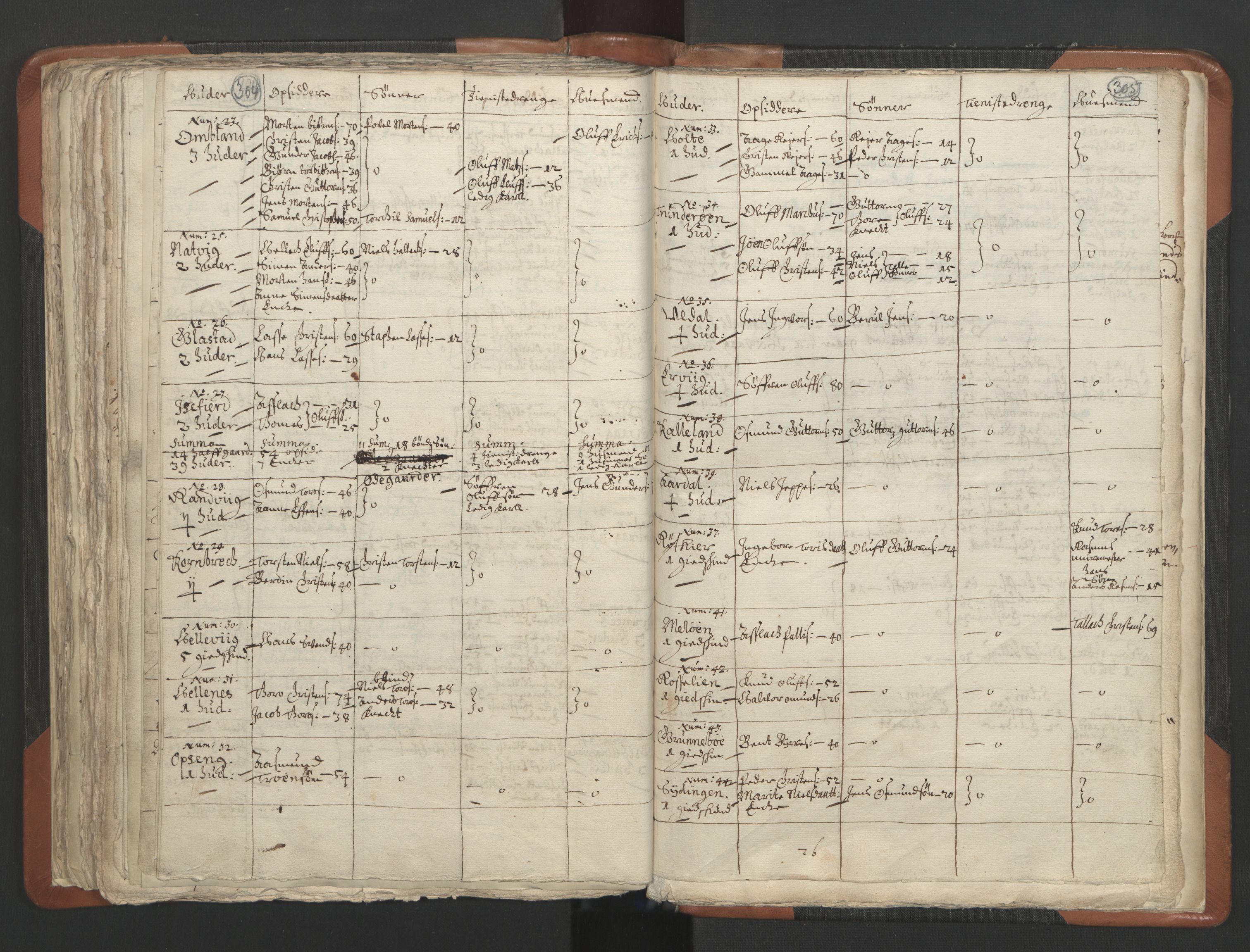 RA, Vicar's Census 1664-1666, no. 13: Nedenes deanery, 1664-1666, p. 304-305