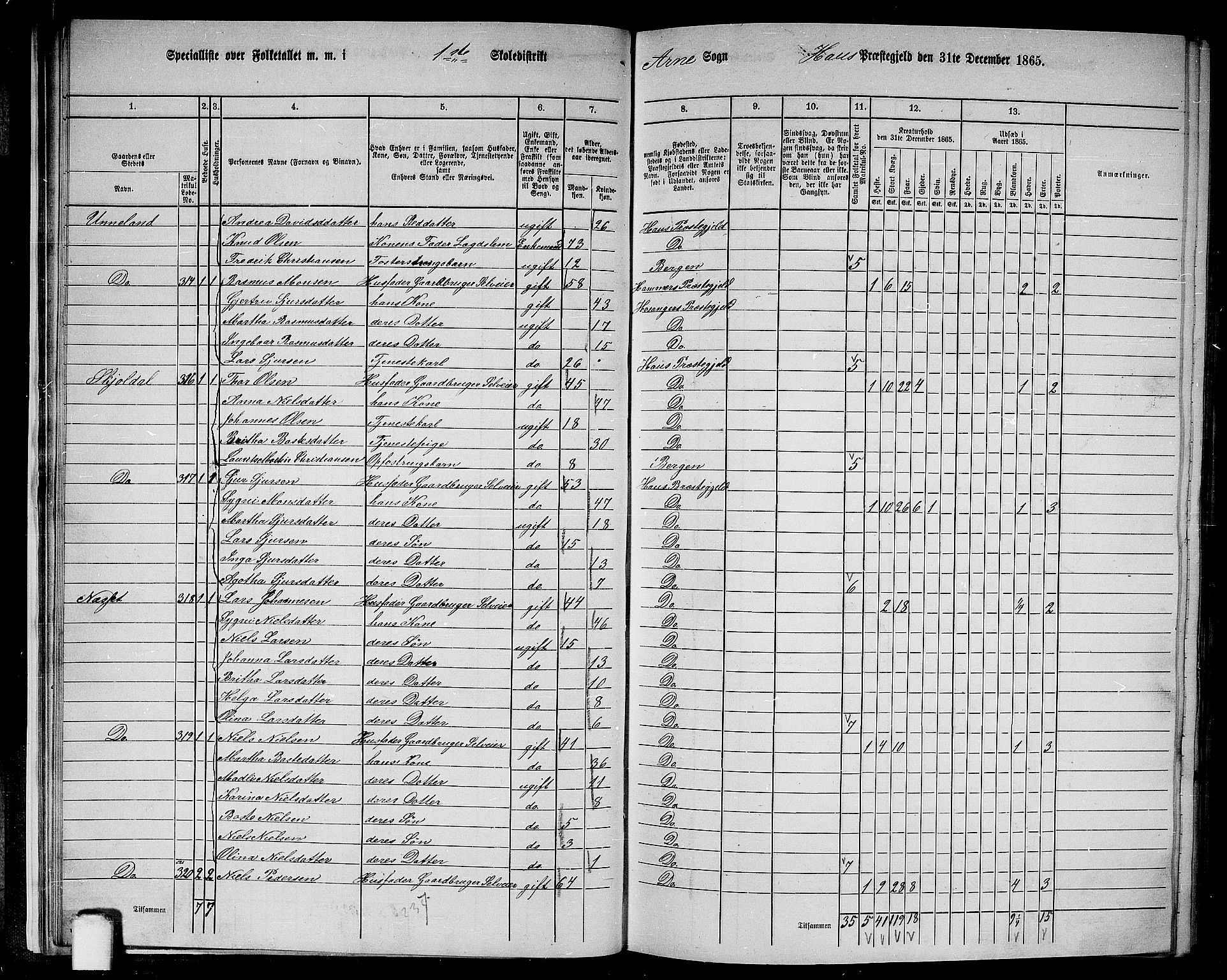 RA, 1865 census for Haus, 1865, p. 24