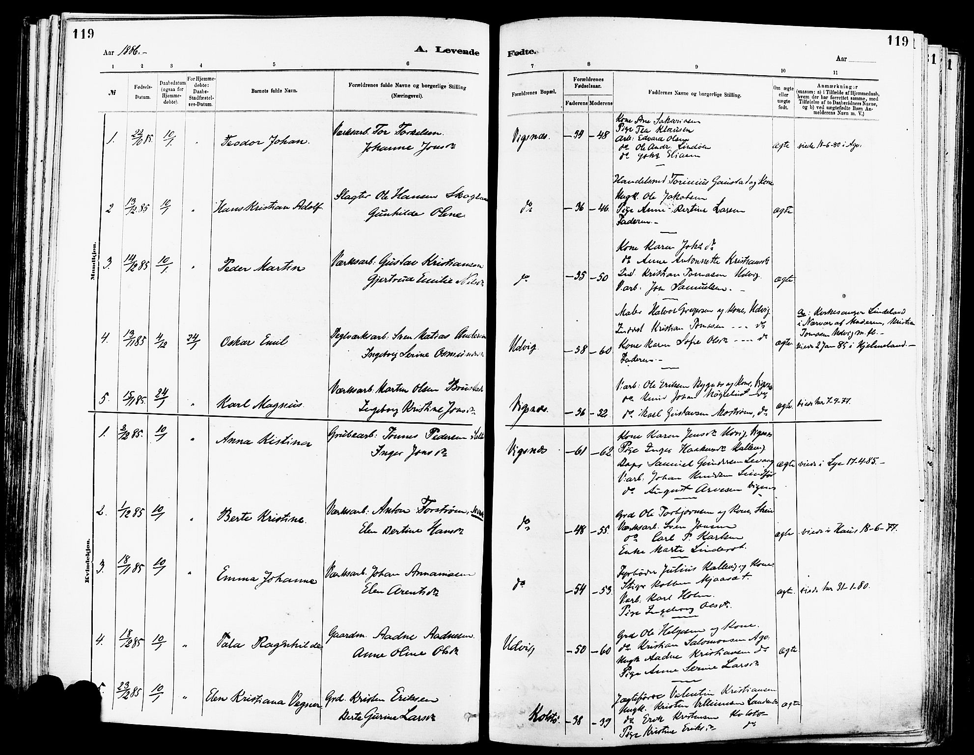 Avaldsnes sokneprestkontor, SAST/A -101851/H/Ha/Haa/L0014: Parish register (official) no. A 14, 1880-1889, p. 119