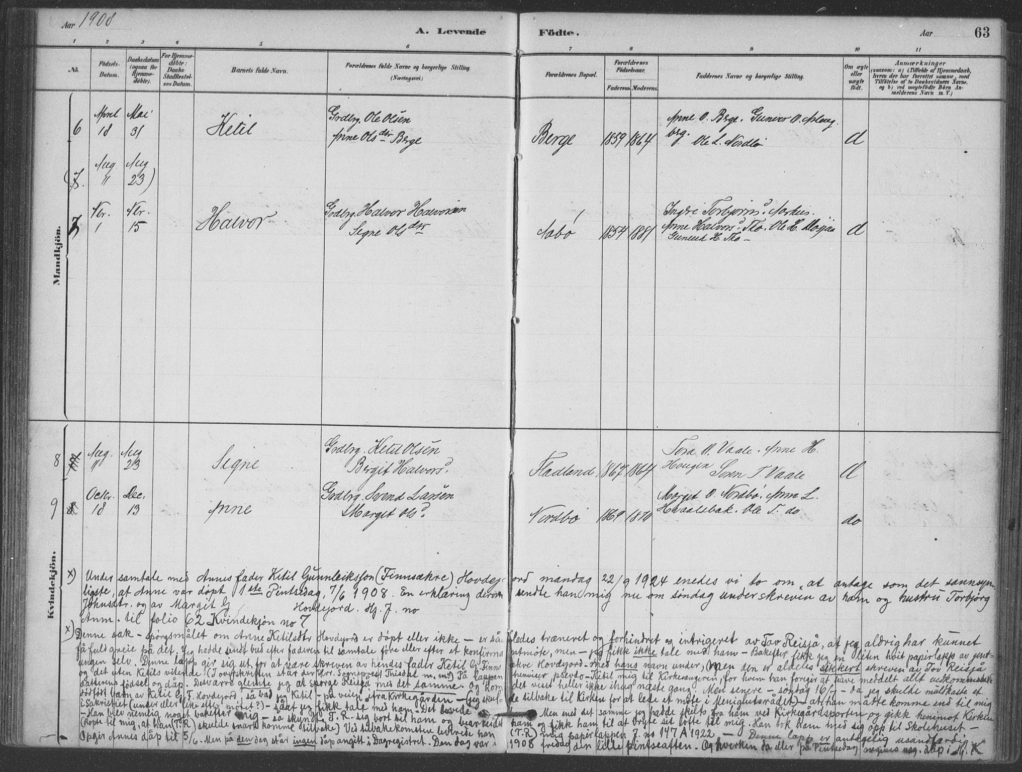 Hjartdal kirkebøker, SAKO/A-270/F/Fa/L0010: Parish register (official) no. I 10, 1880-1929, p. 63