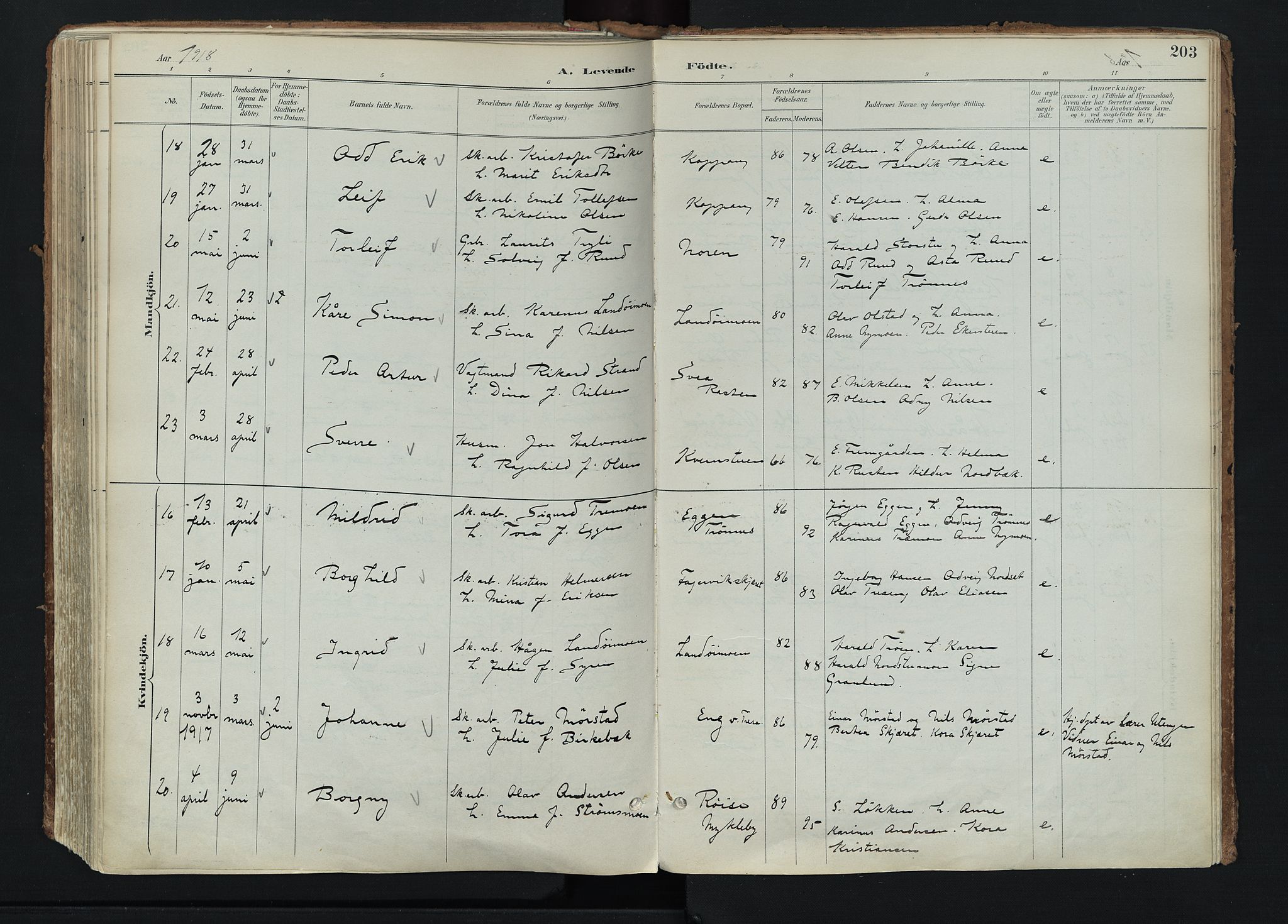 Stor-Elvdal prestekontor, AV/SAH-PREST-052/H/Ha/Haa/L0004: Parish register (official) no. 4, 1890-1922, p. 203