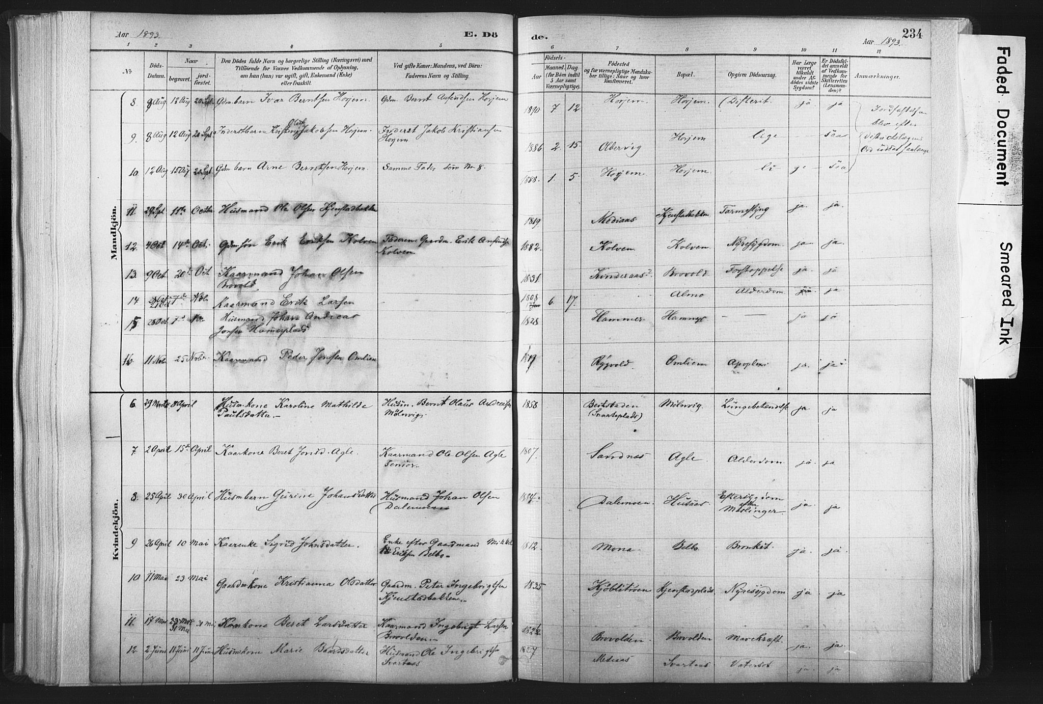 Ministerialprotokoller, klokkerbøker og fødselsregistre - Nord-Trøndelag, SAT/A-1458/749/L0474: Parish register (official) no. 749A08, 1887-1903, p. 234