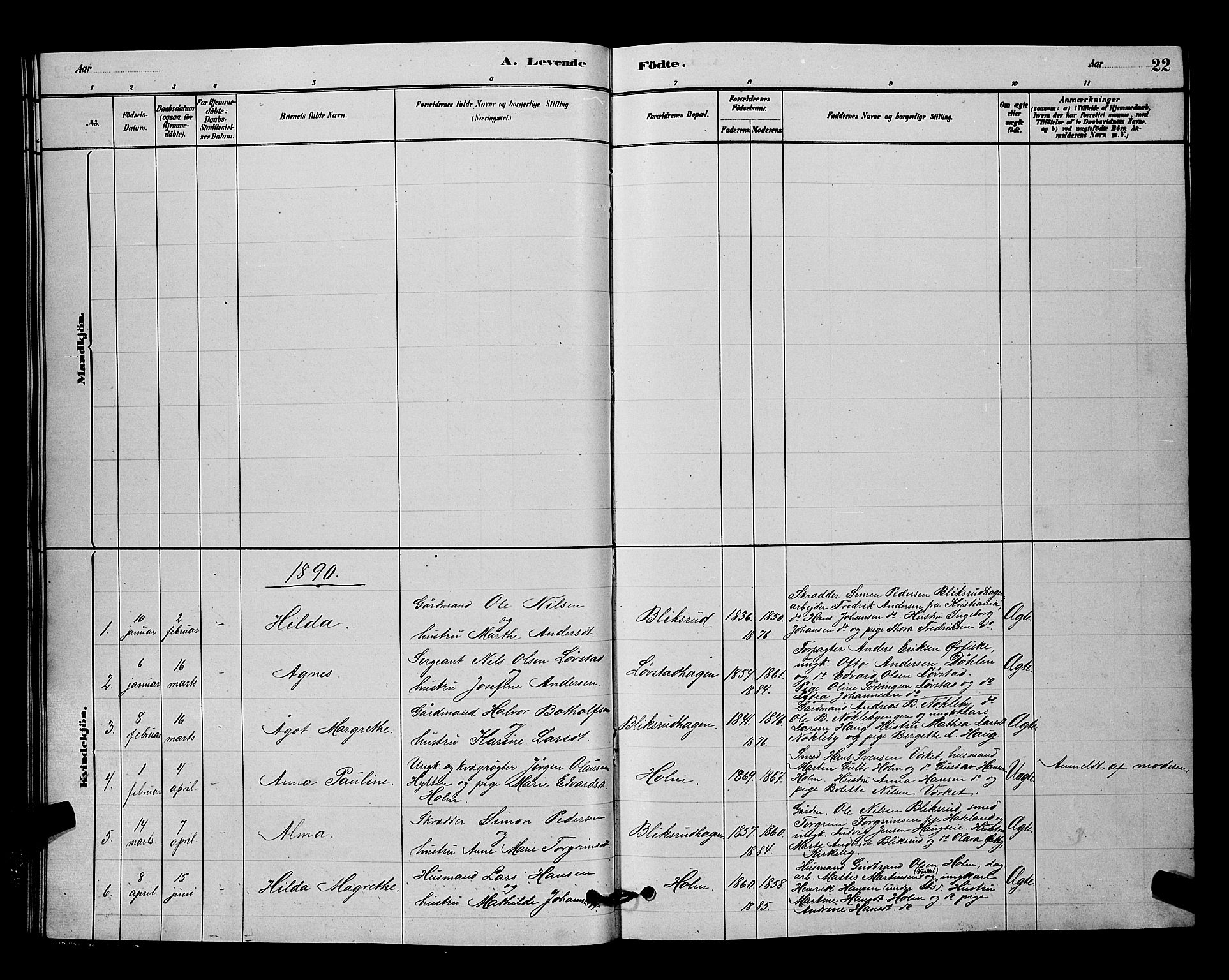 Nittedal prestekontor Kirkebøker, AV/SAO-A-10365a/G/Gb/L0002: Parish register (copy) no. II 2, 1879-1901, p. 22