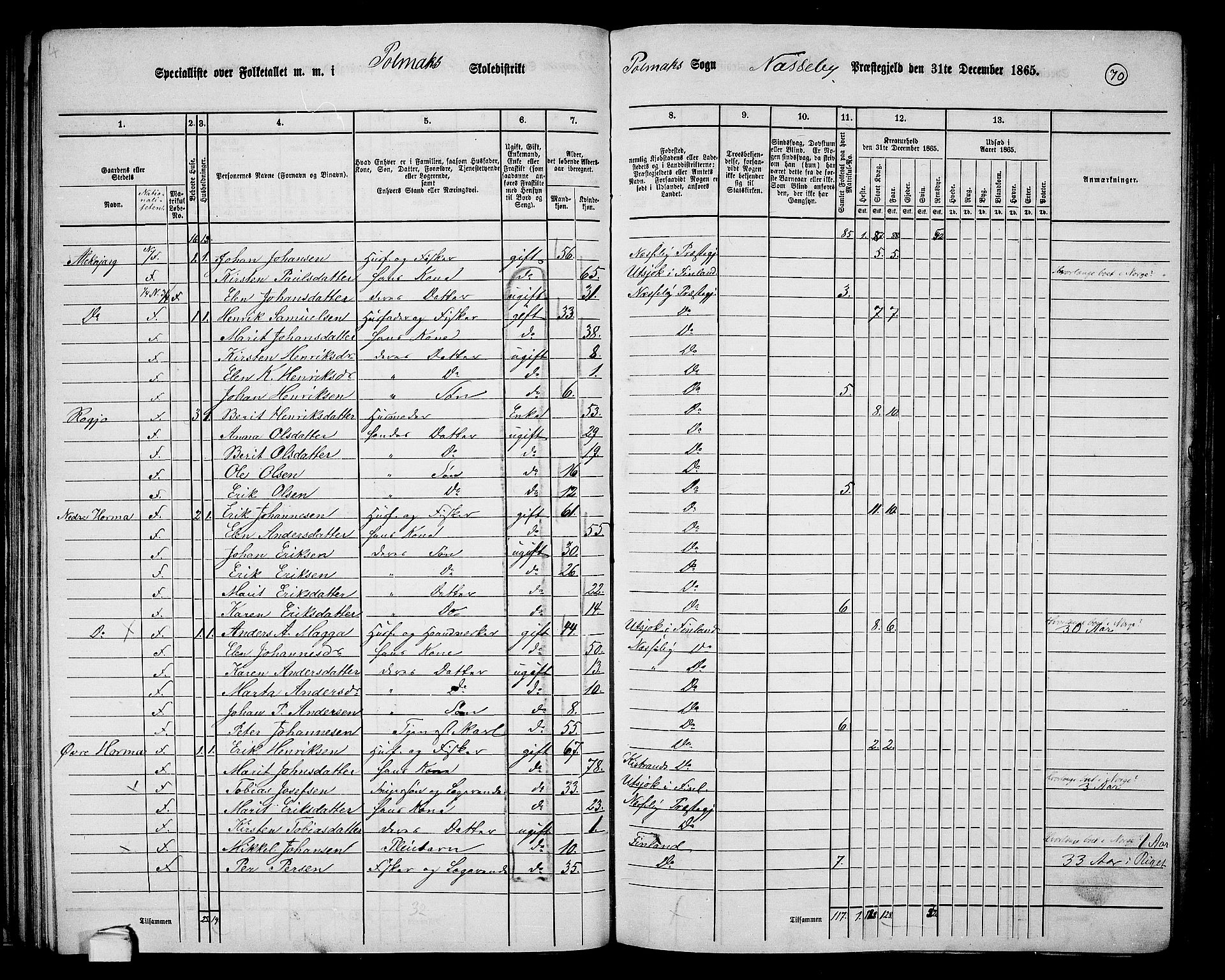 RA, 1865 census for Nesseby, 1865, p. 53