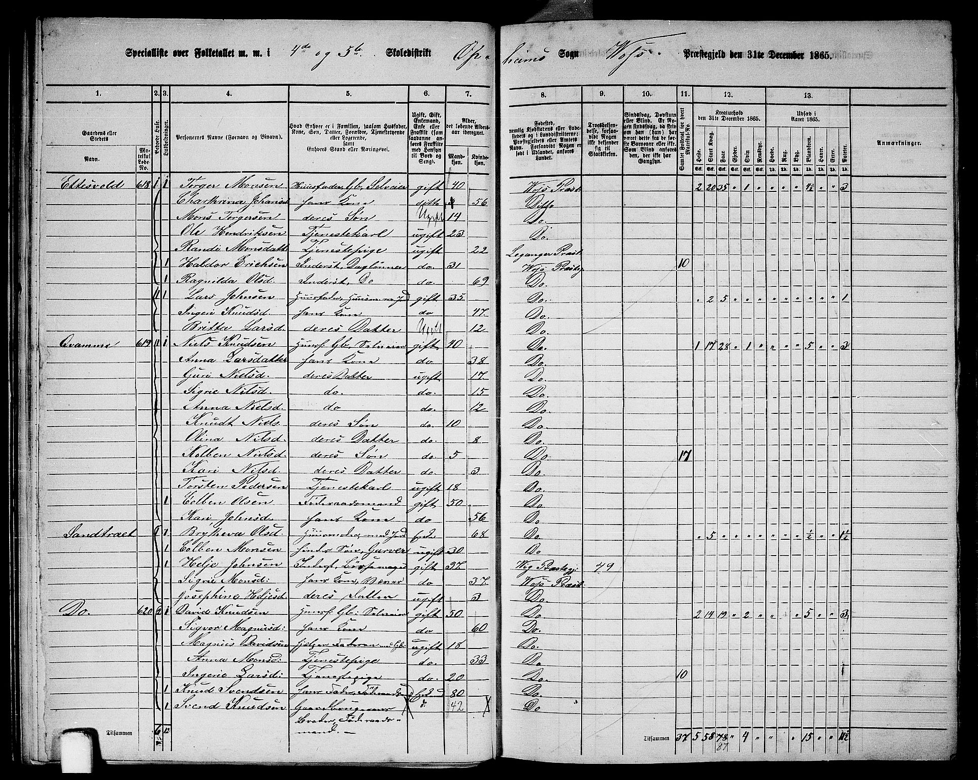 RA, 1865 census for Voss, 1865, p. 251