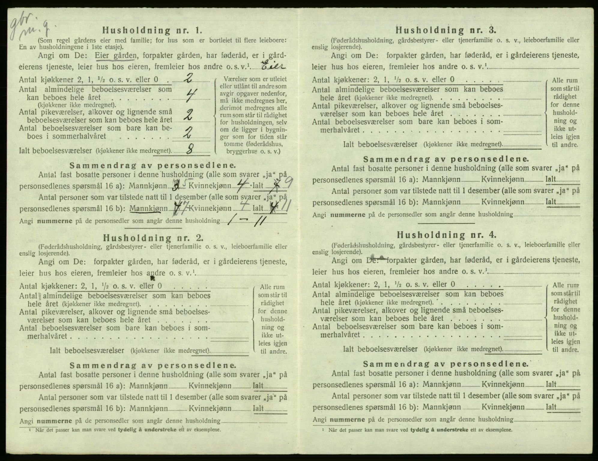 SAB, 1920 census for Kinsarvik, 1920, p. 313