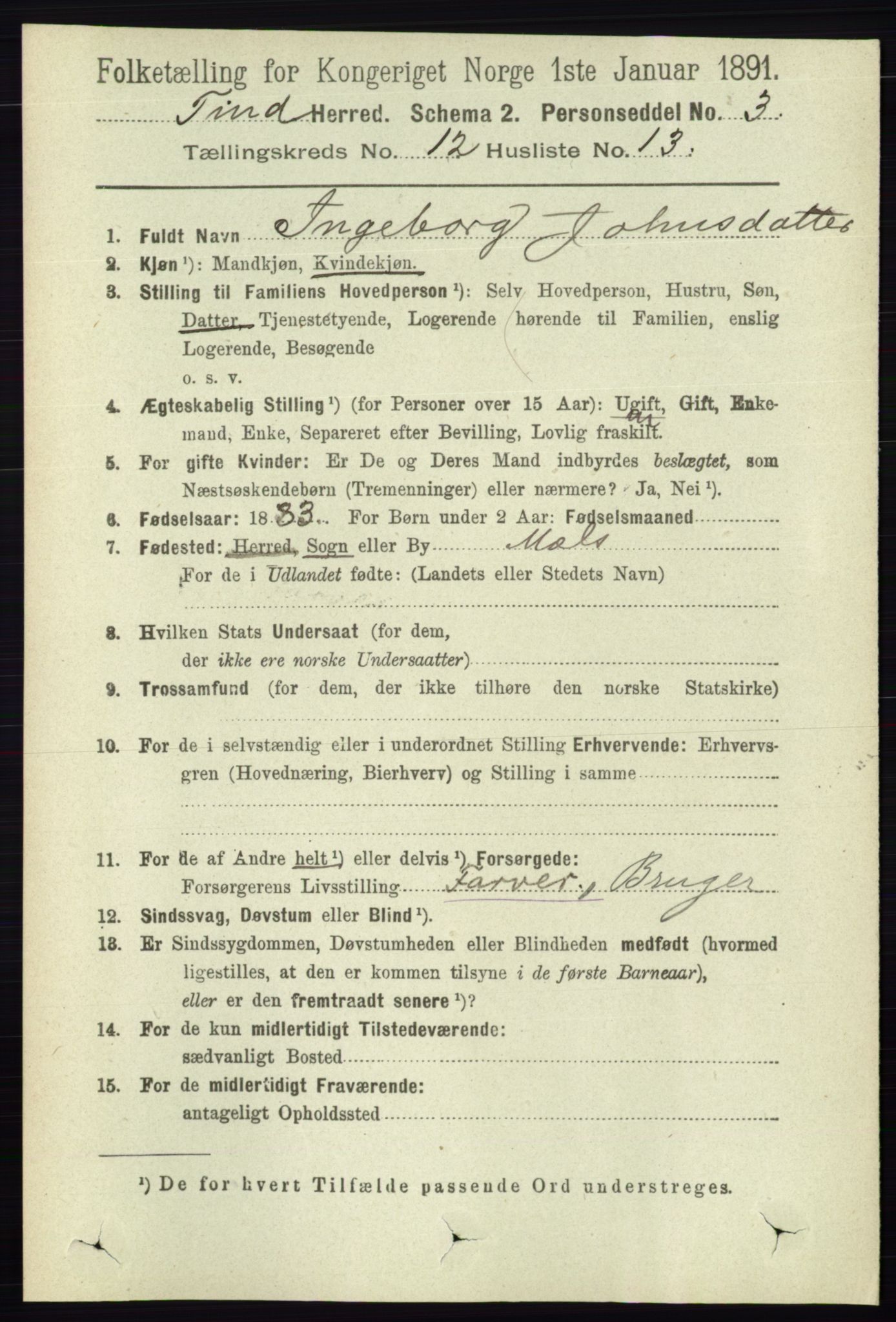 RA, 1891 census for 0826 Tinn, 1891, p. 2378