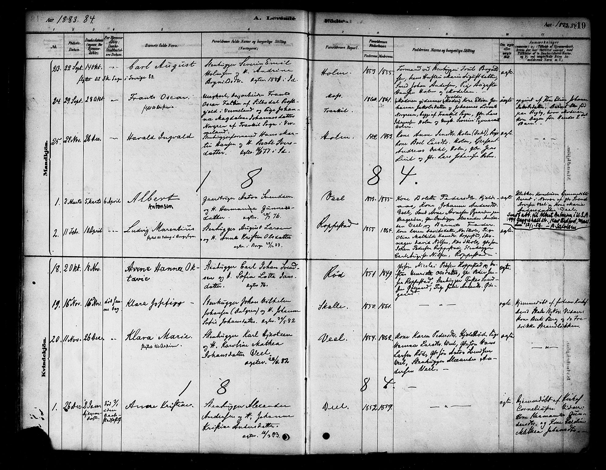 Borge prestekontor Kirkebøker, SAO/A-10903/F/Fb/L0003: Parish register (official) no. II 3, 1878-1902, p. 19