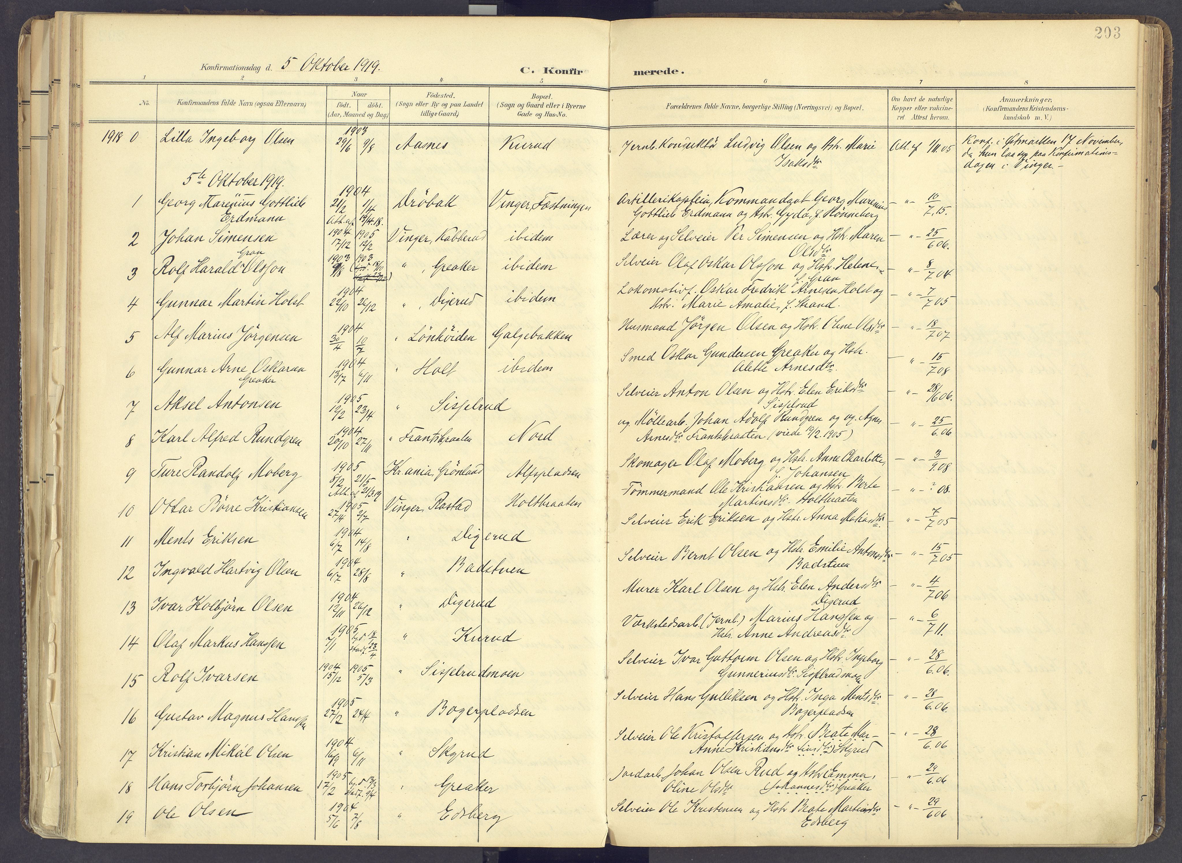 Vinger prestekontor, AV/SAH-PREST-024/H/Ha/Haa/L0017: Parish register (official) no. 17, 1901-1927, p. 203