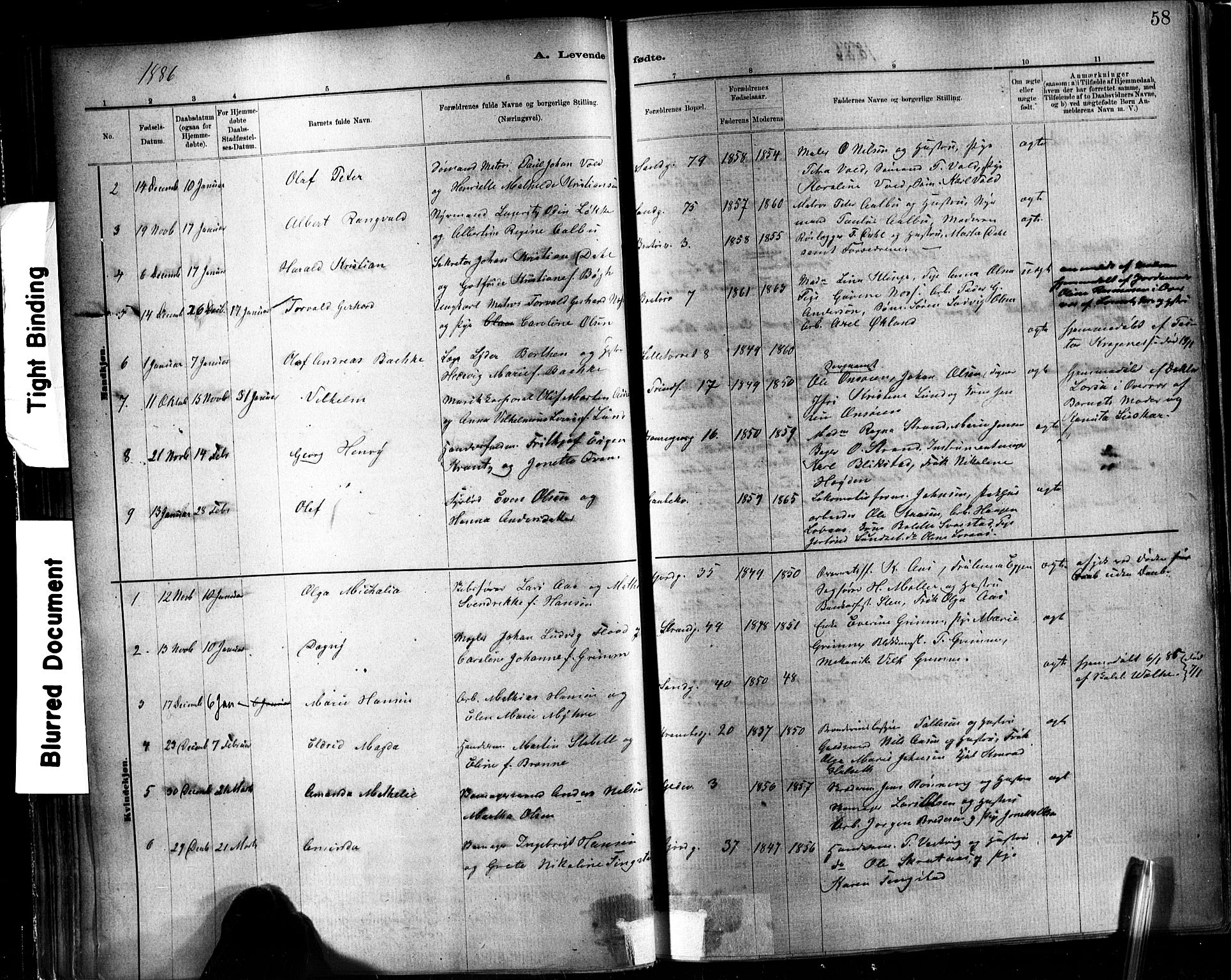 Ministerialprotokoller, klokkerbøker og fødselsregistre - Sør-Trøndelag, SAT/A-1456/602/L0119: Parish register (official) no. 602A17, 1880-1901, p. 58
