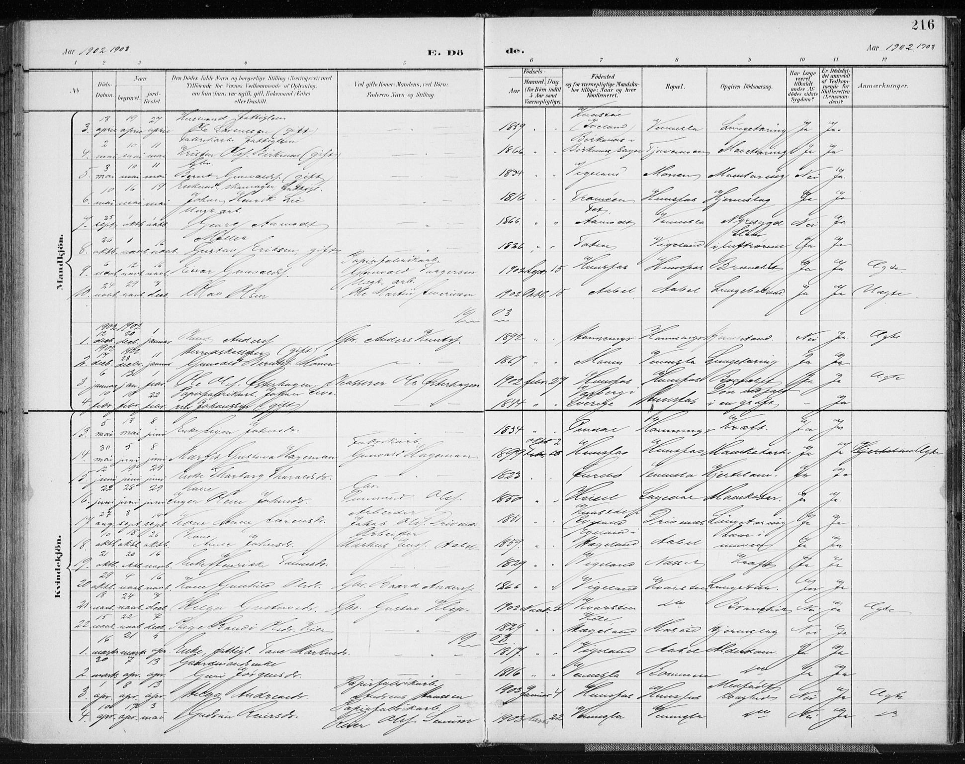 Vennesla sokneprestkontor, AV/SAK-1111-0045/Fa/Fab/L0005: Parish register (official) no. A 5, 1897-1909, p. 216