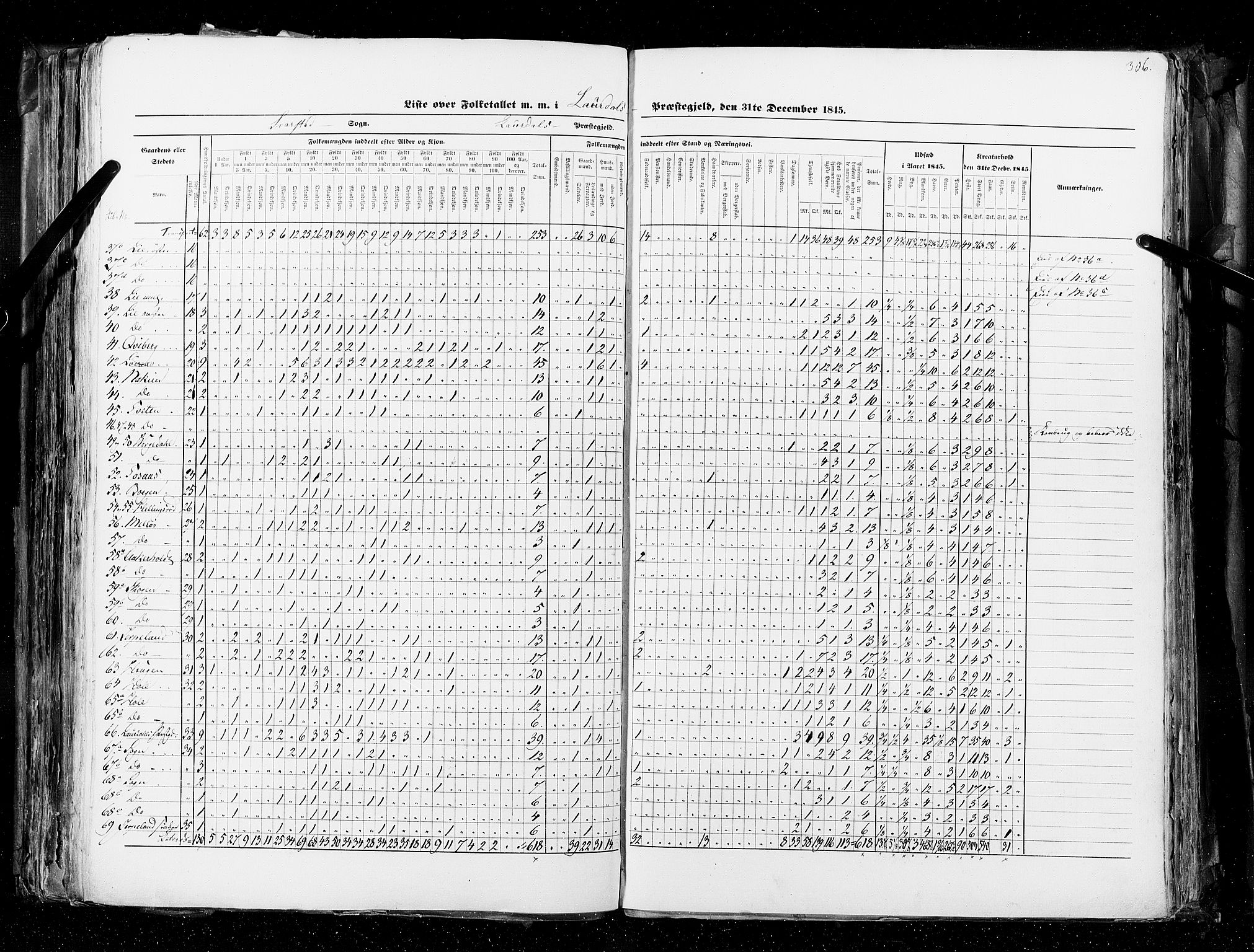RA, Census 1845, vol. 4: Buskerud amt og Jarlsberg og Larvik amt, 1845, p. 306