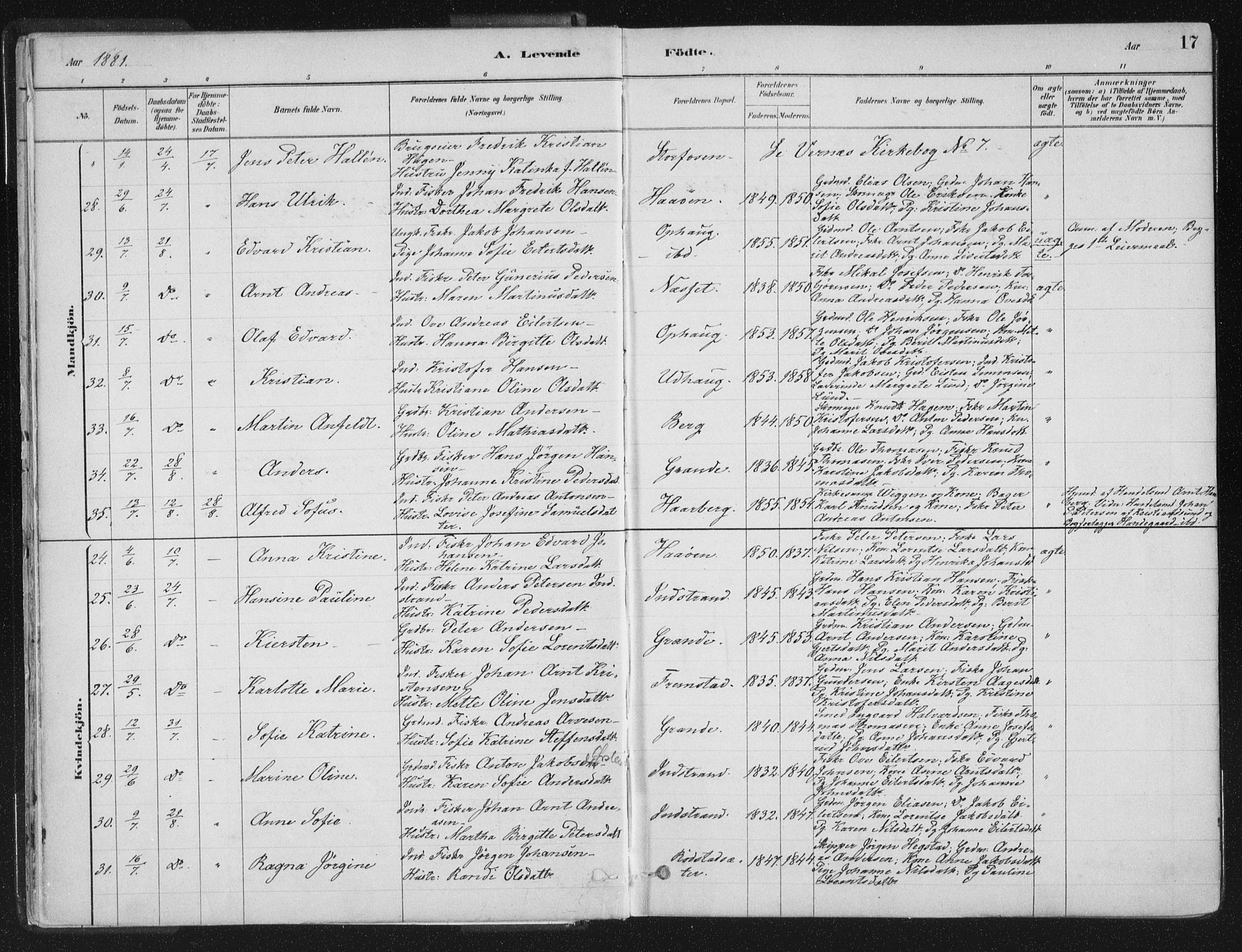 Ministerialprotokoller, klokkerbøker og fødselsregistre - Sør-Trøndelag, SAT/A-1456/659/L0739: Parish register (official) no. 659A09, 1879-1893, p. 17