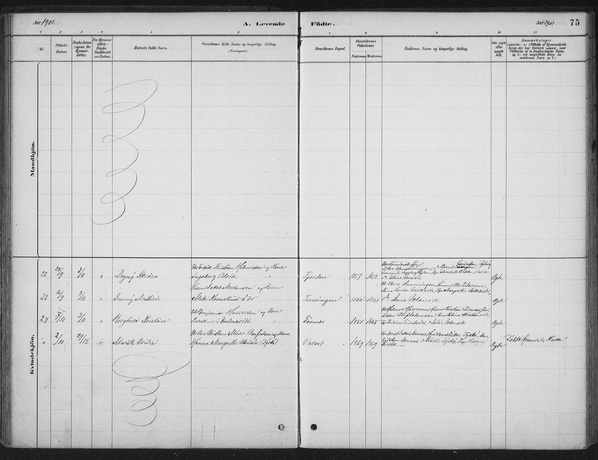 Ministerialprotokoller, klokkerbøker og fødselsregistre - Sør-Trøndelag, SAT/A-1456/662/L0755: Parish register (official) no. 662A01, 1879-1905, p. 75