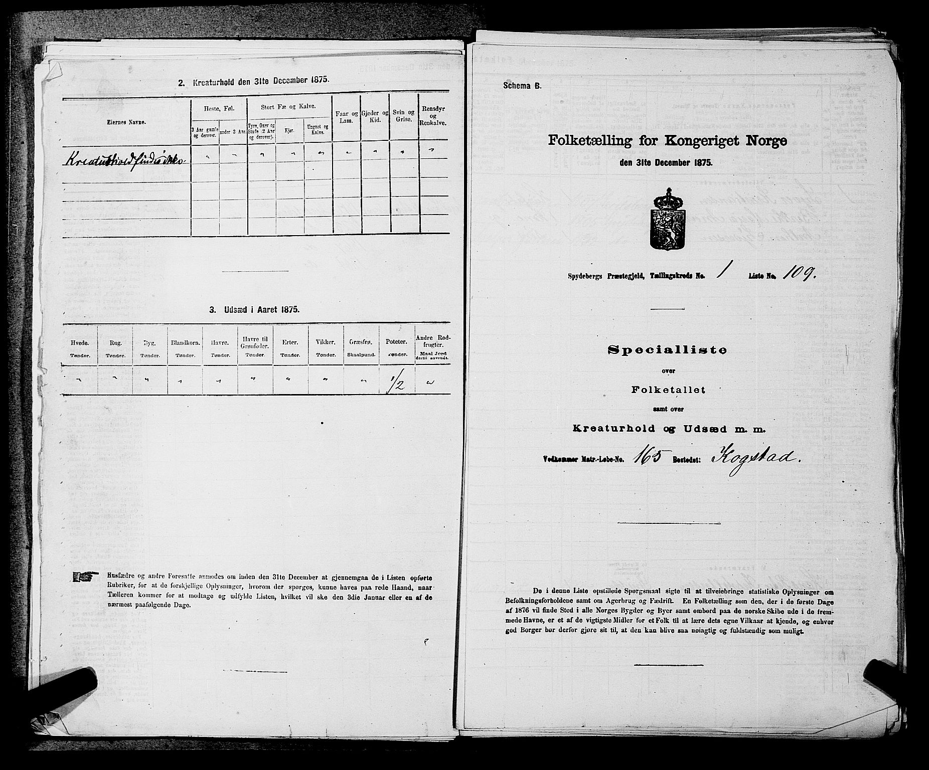 RA, 1875 census for 0123P Spydeberg, 1875, p. 49