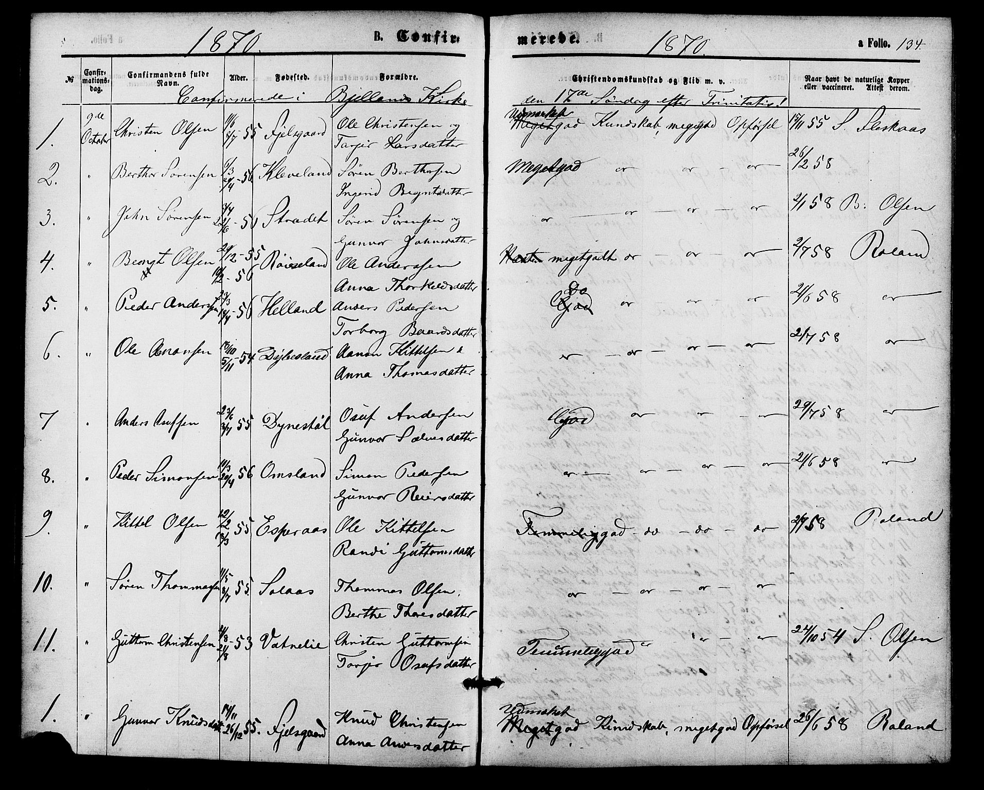 Bjelland sokneprestkontor, SAK/1111-0005/F/Fa/Fab/L0003: Parish register (official) no. A 3, 1870-1887, p. 134