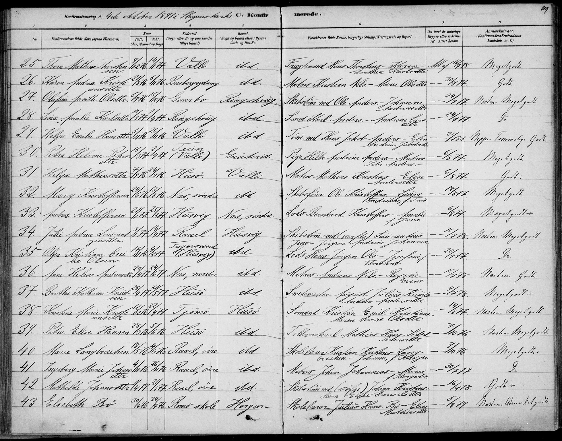 Sem kirkebøker, AV/SAKO-A-5/F/Fb/L0004: Parish register (official) no. II 4, 1878-1891, p. 219