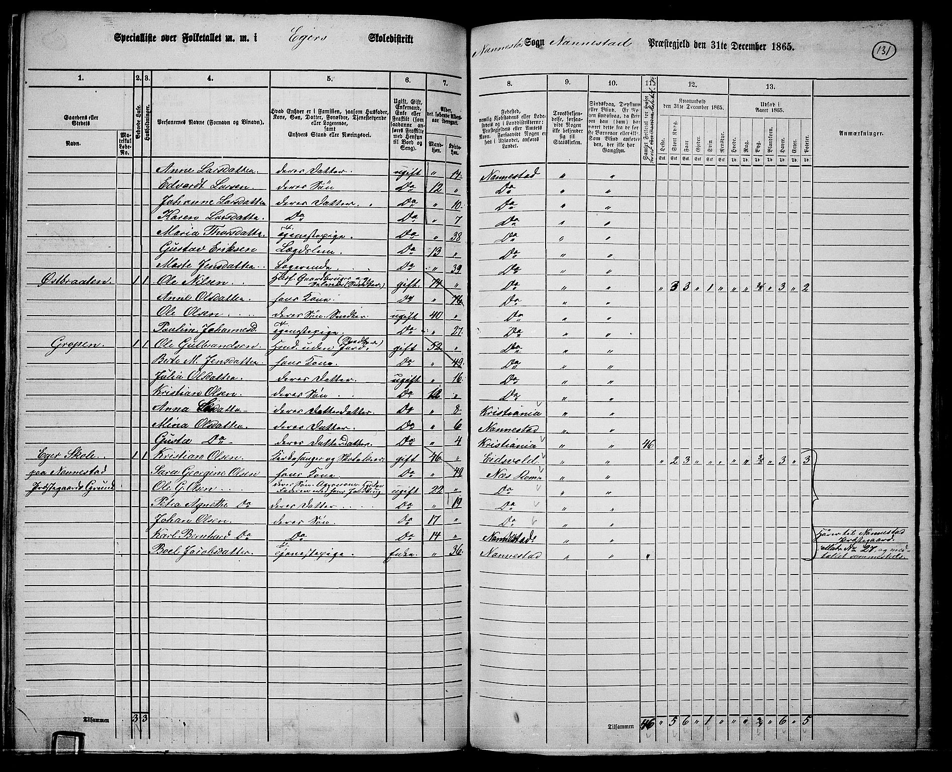 RA, 1865 census for Nannestad, 1865, p. 17