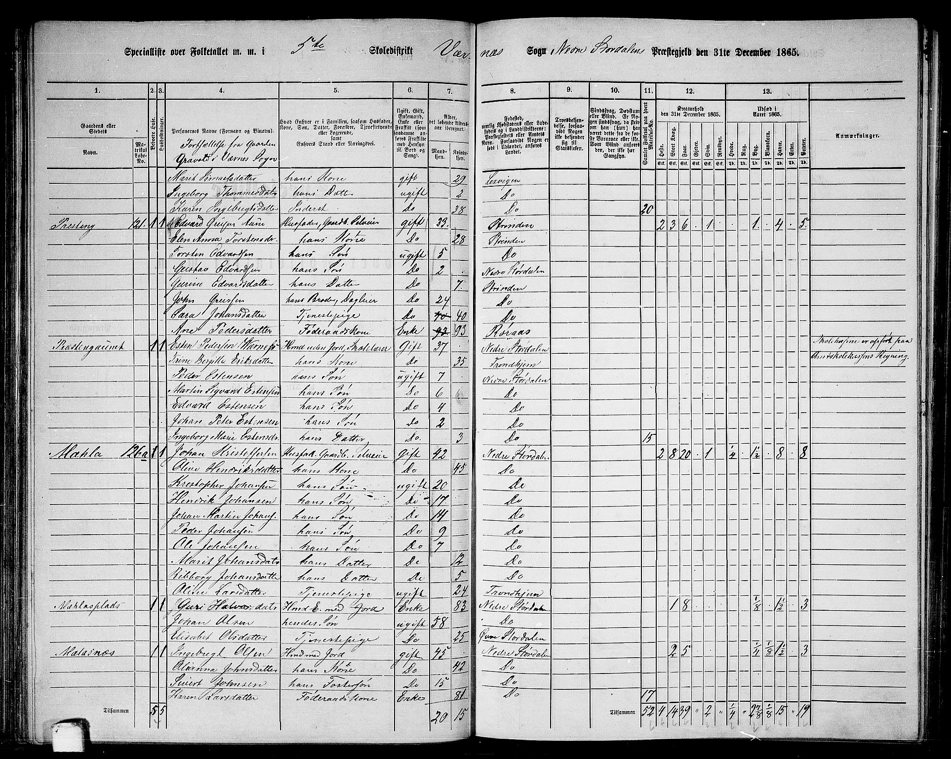 RA, 1865 census for Nedre Stjørdal, 1865, p. 100