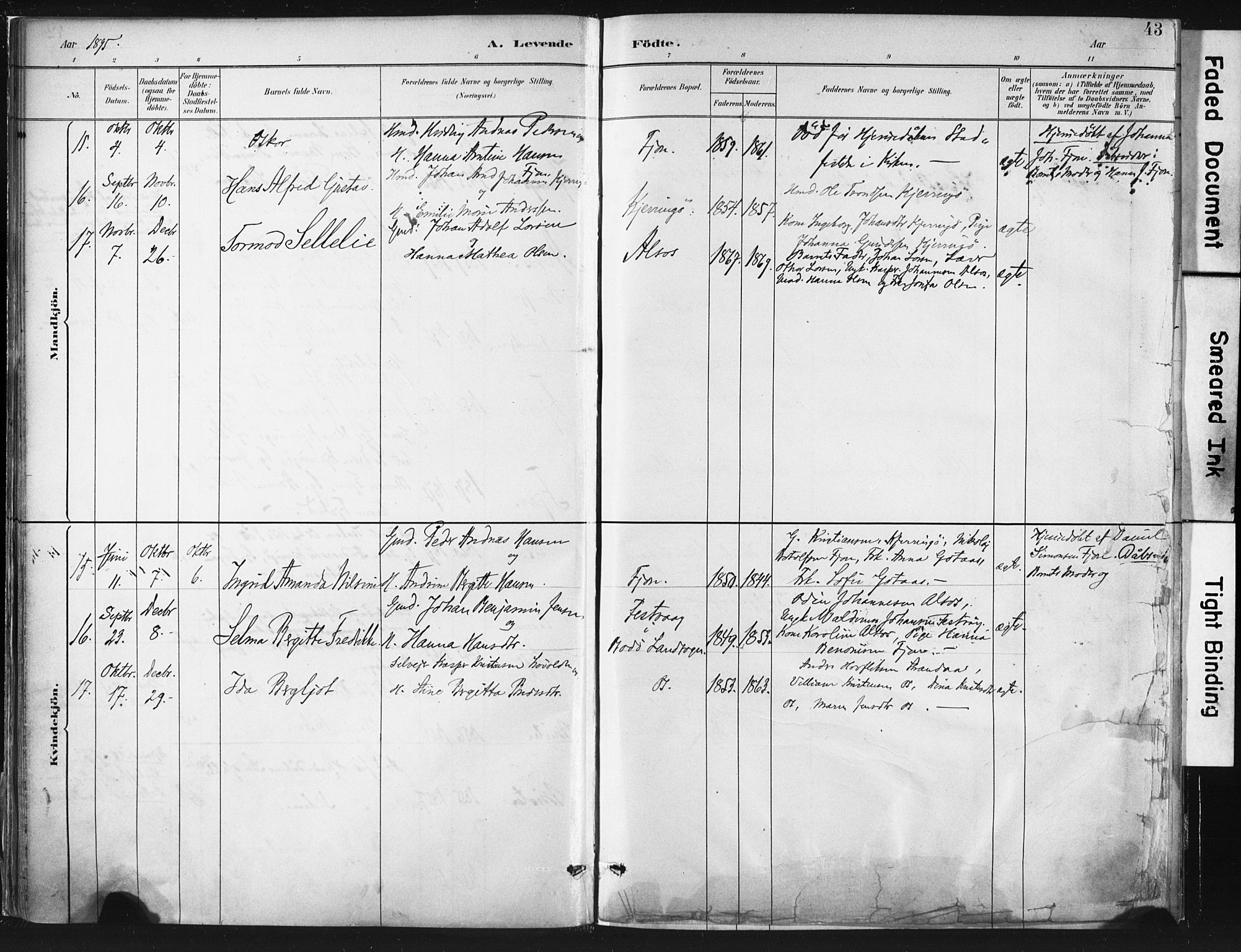 Ministerialprotokoller, klokkerbøker og fødselsregistre - Nordland, AV/SAT-A-1459/803/L0071: Parish register (official) no. 803A01, 1881-1897, p. 43