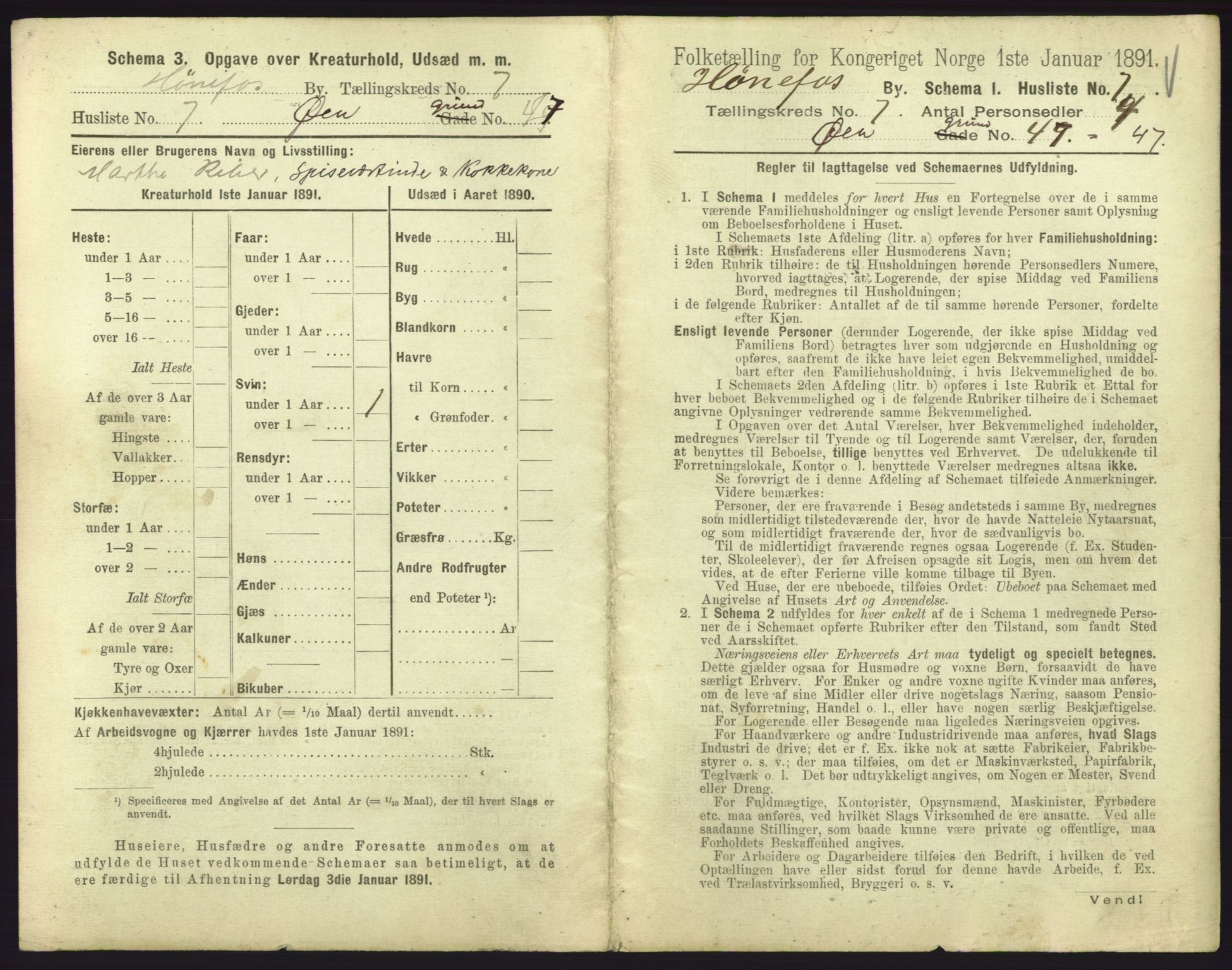 RA, 1891 census for 0601 Hønefoss, 1891, p. 201