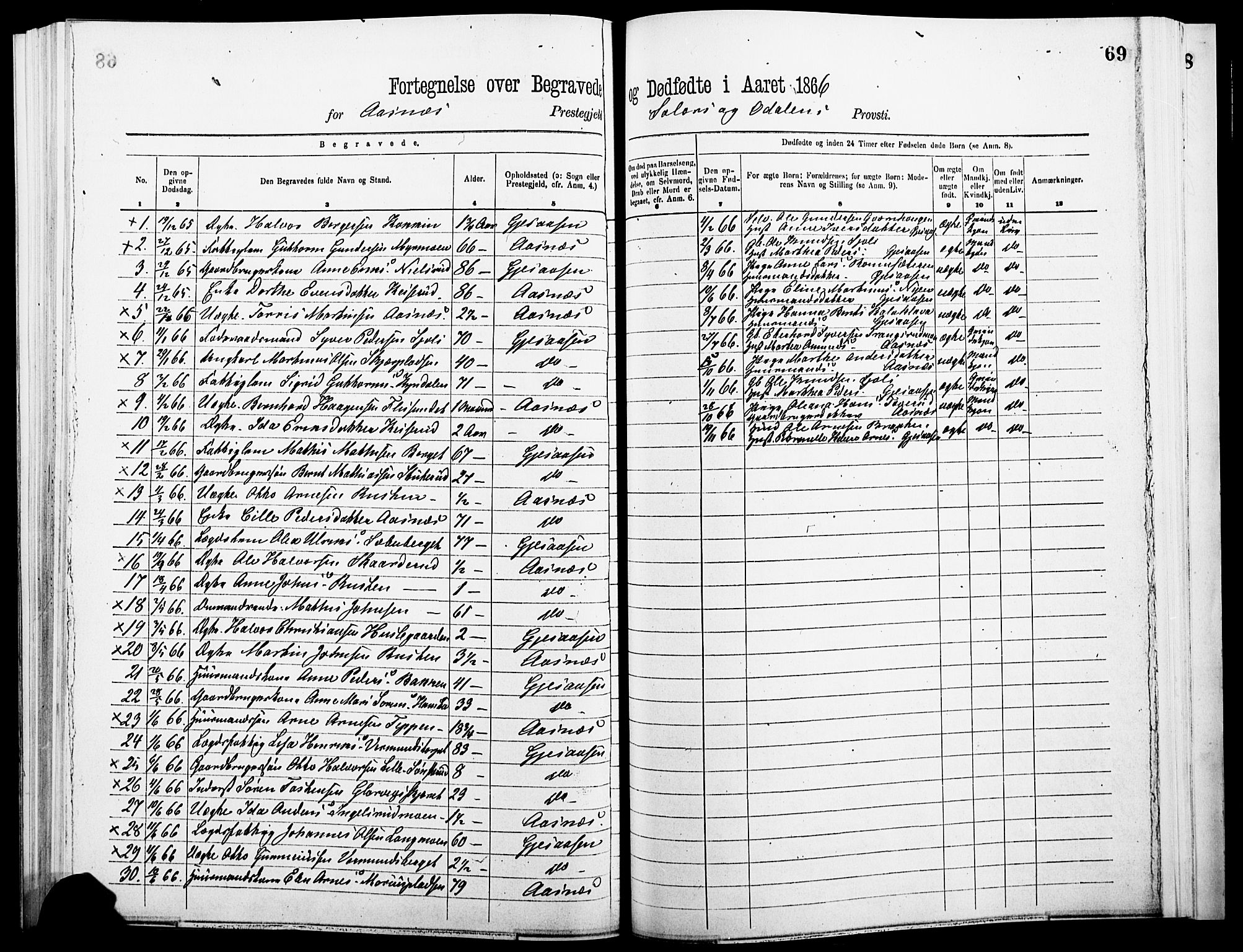 Åsnes prestekontor, AV/SAH-PREST-042/H/Ha/Haa/L0000A: Parish register (official), 1866-1872, p. 69