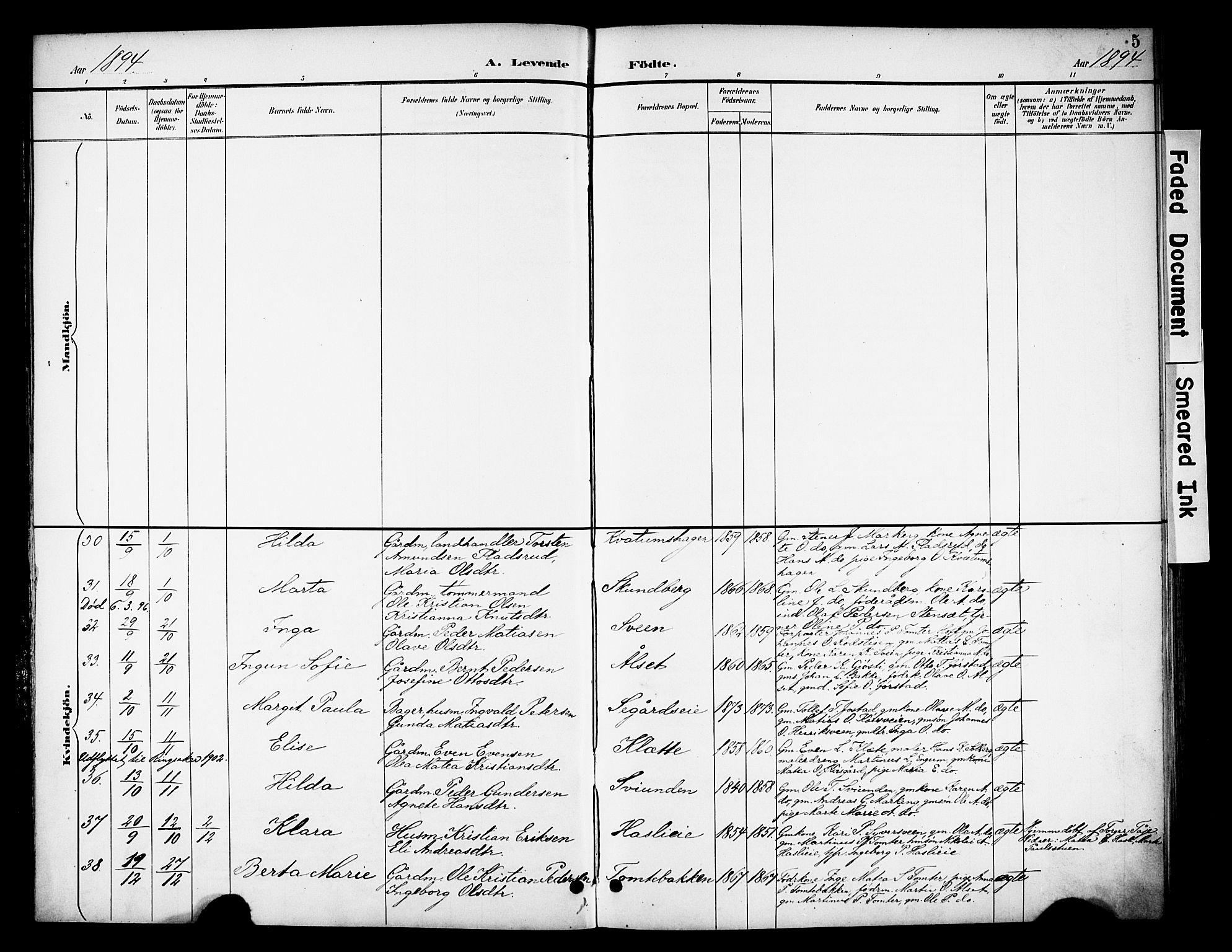Biri prestekontor, SAH/PREST-096/H/Ha/Haa/L0008: Parish register (official) no. 8, 1894-1901, p. 5