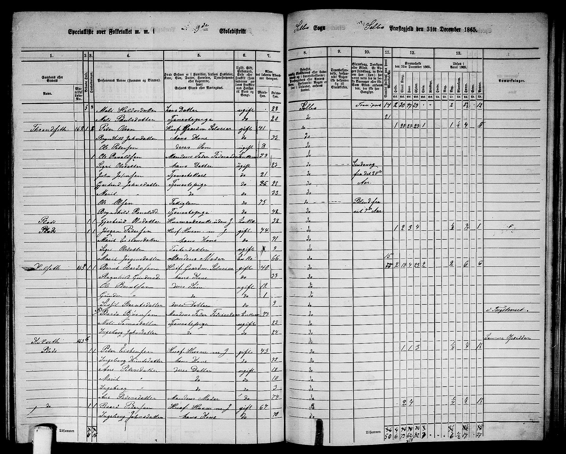 RA, 1865 census for Selbu, 1865, p. 171