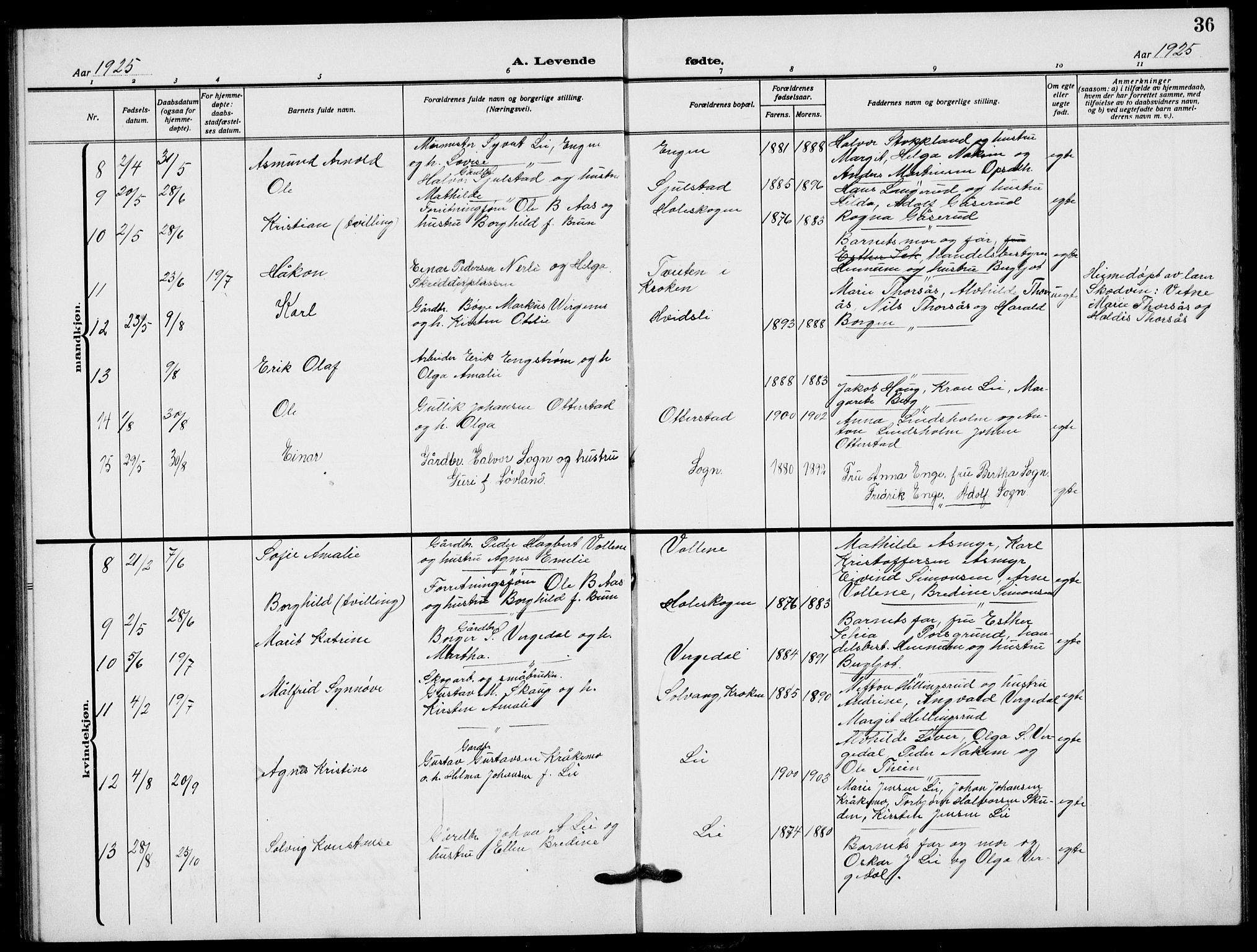 Lardal kirkebøker, AV/SAKO-A-350/G/Ga/L0003a: Parish register (copy) no. I 3, 1917-1937, p. 36