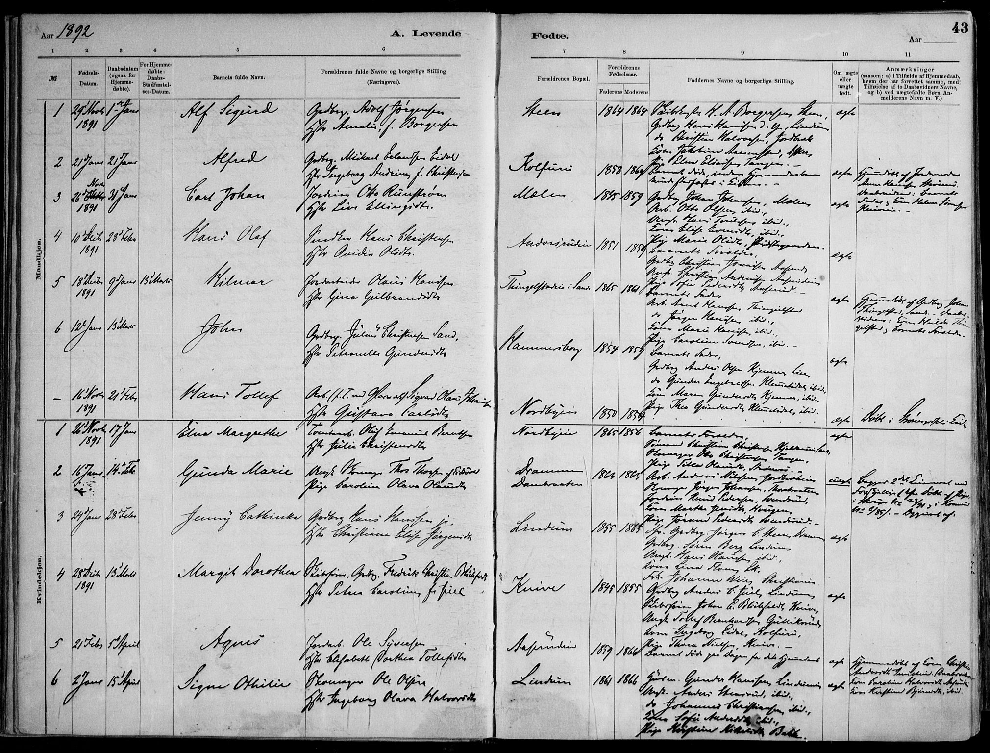 Skoger kirkebøker, AV/SAKO-A-59/F/Fa/L0006: Parish register (official) no. I 6, 1885-1910, p. 43