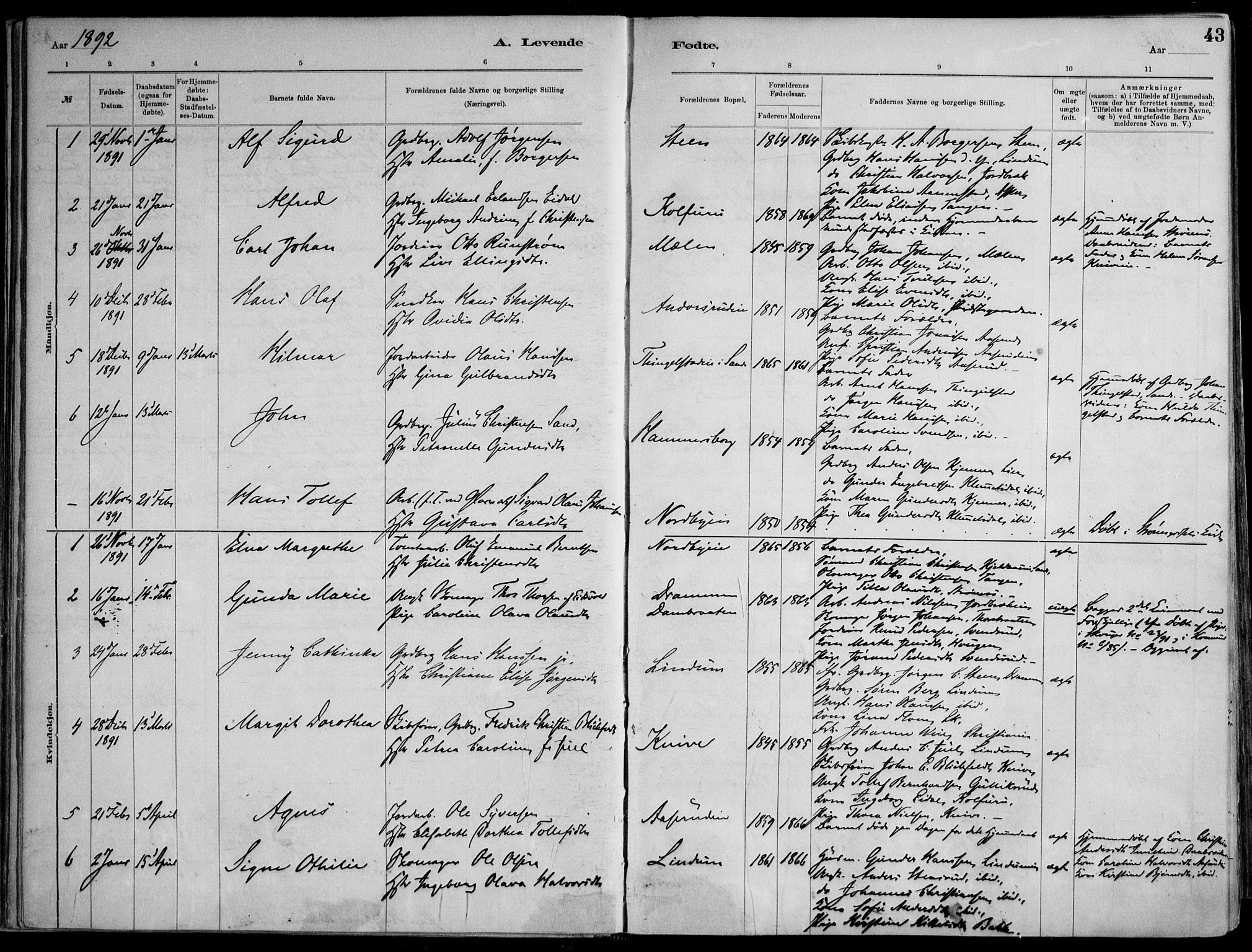 Skoger kirkebøker, AV/SAKO-A-59/F/Fa/L0006: Parish register (official) no. I 6, 1885-1910, p. 43