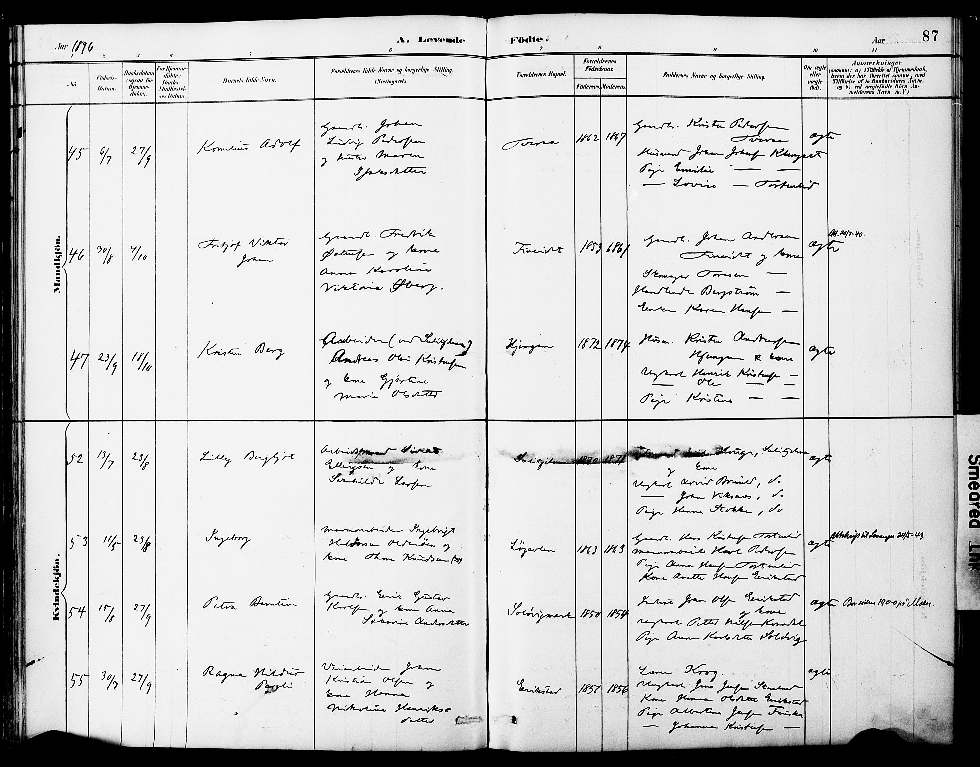 Ministerialprotokoller, klokkerbøker og fødselsregistre - Nordland, AV/SAT-A-1459/849/L0690: Parish register (official) no. 849A02, 1890-1897, p. 87